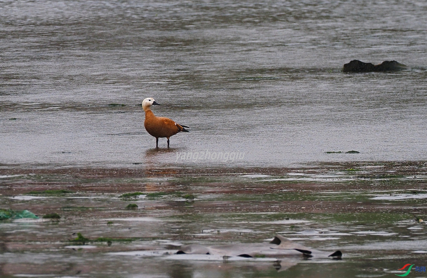 47 P5091556.jpg