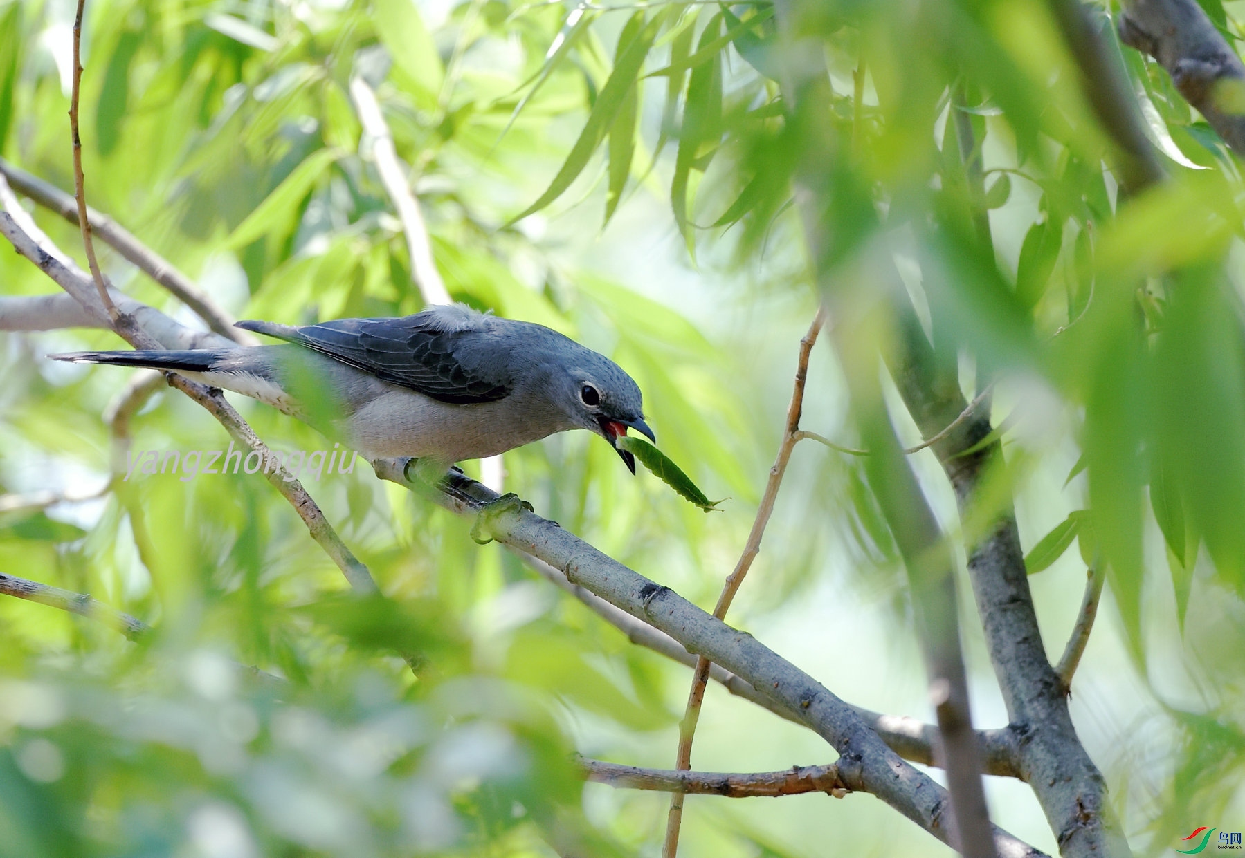 50_DSC_7138.JPG