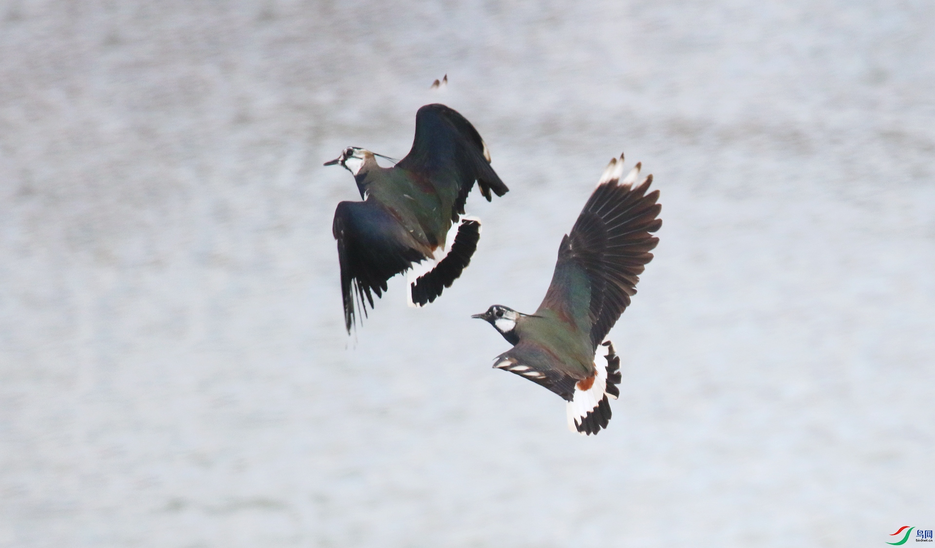 0G1A7292 ����.jpg