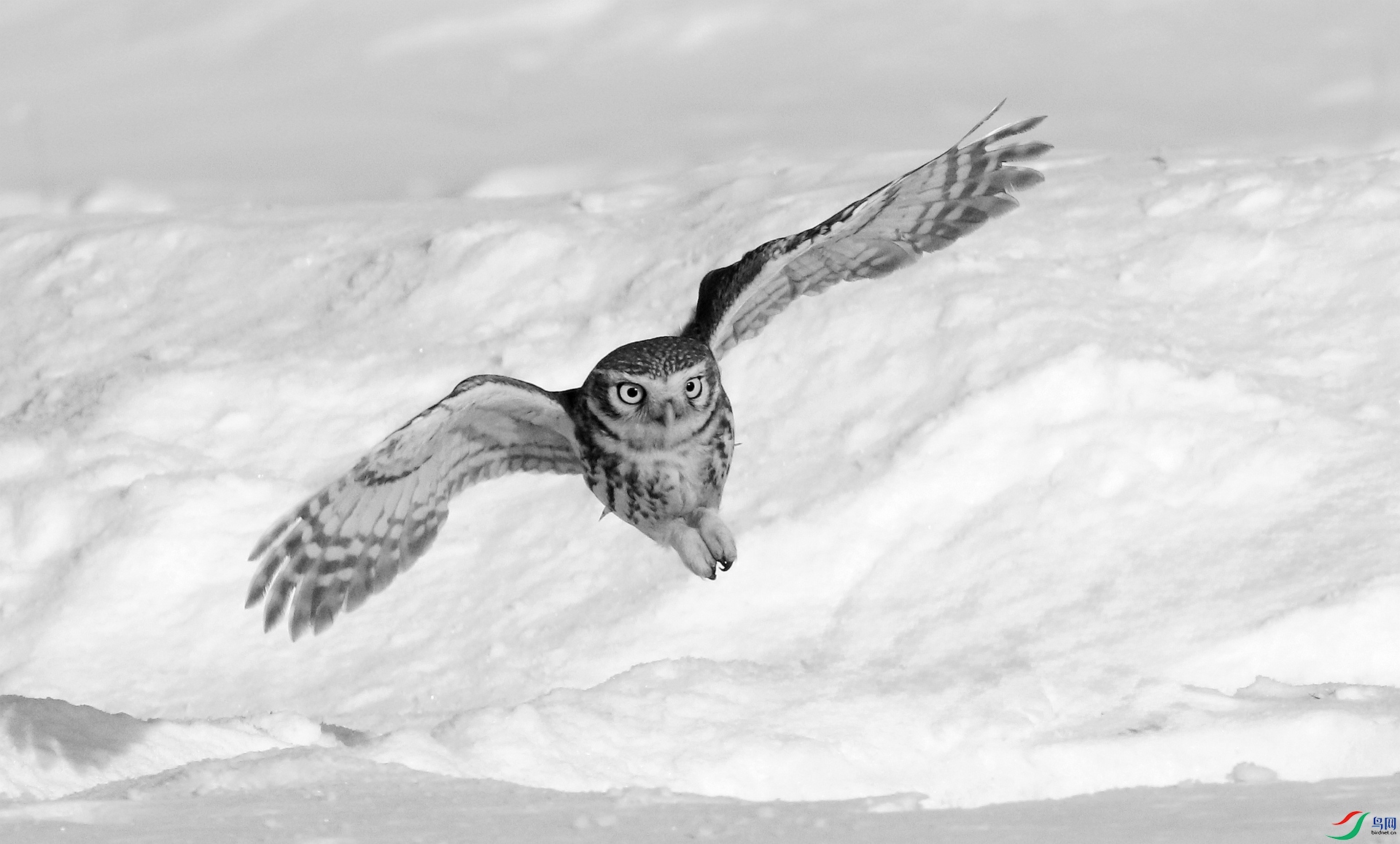 0G1A7832 ����.jpg