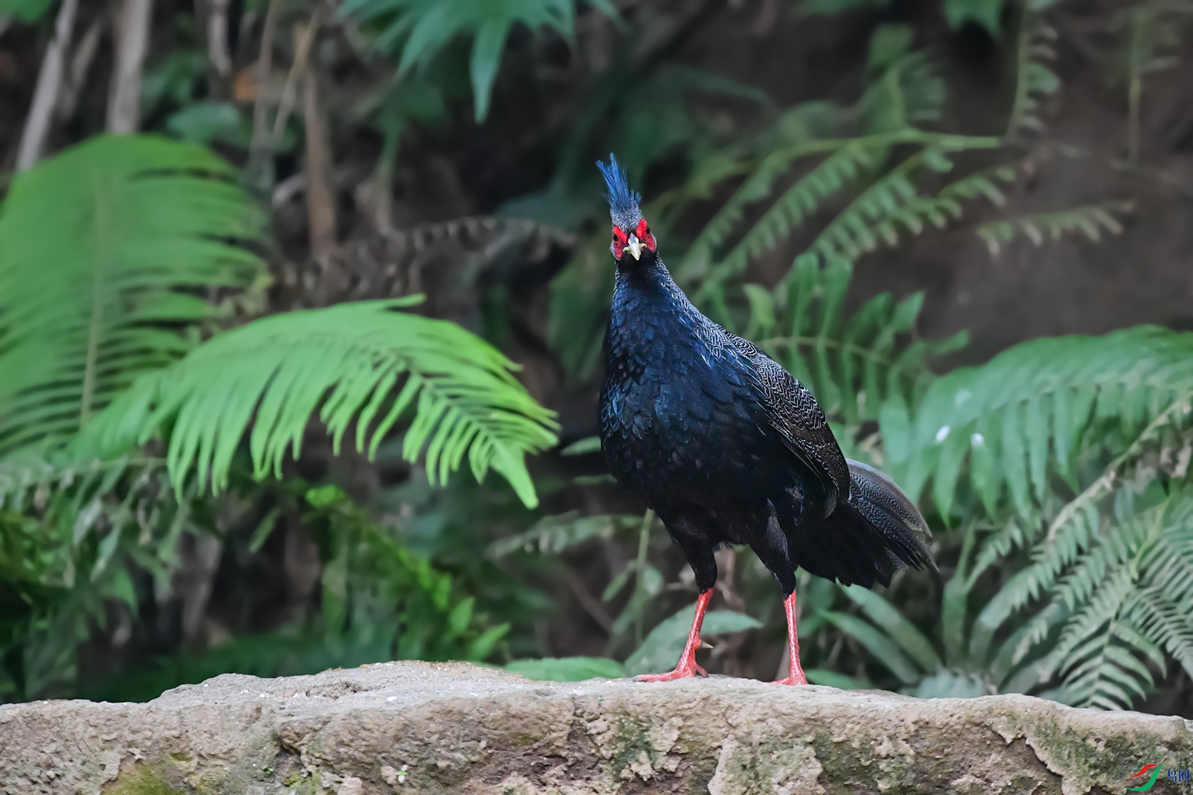 2DSC_6679a_DxOa����.jpg