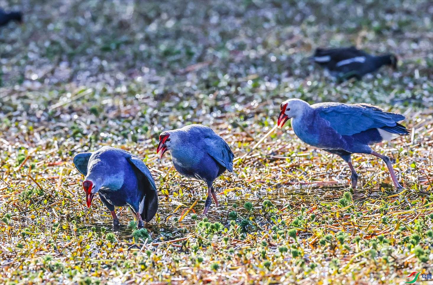 һ��һ������������������ ����.jpg