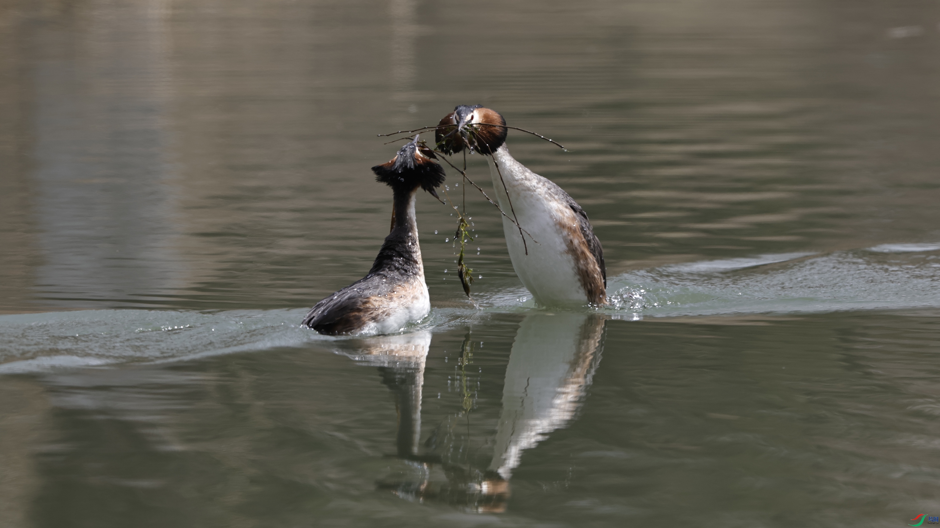 _O7A9549 ����.jpg