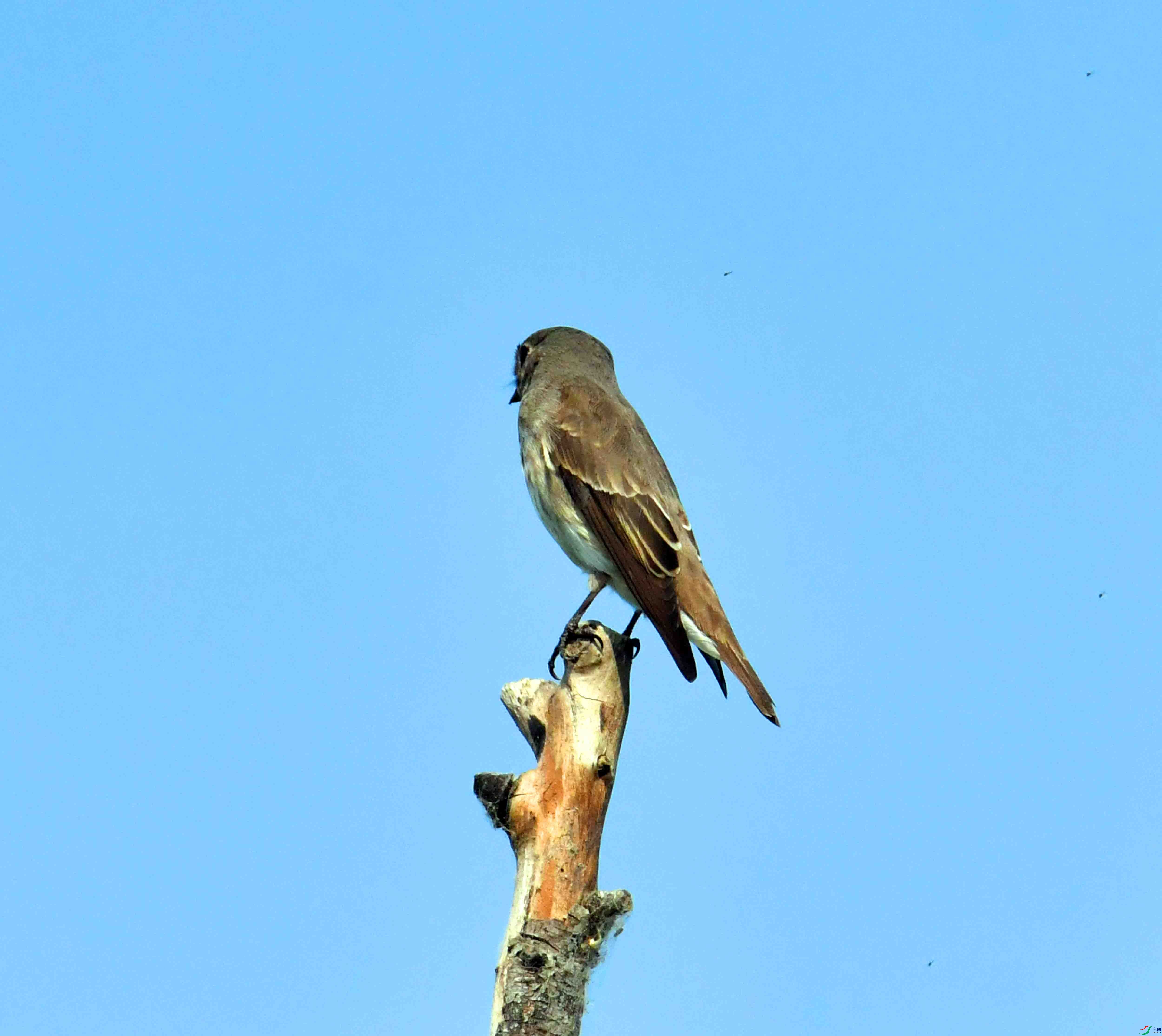 DSC_2074.JPG