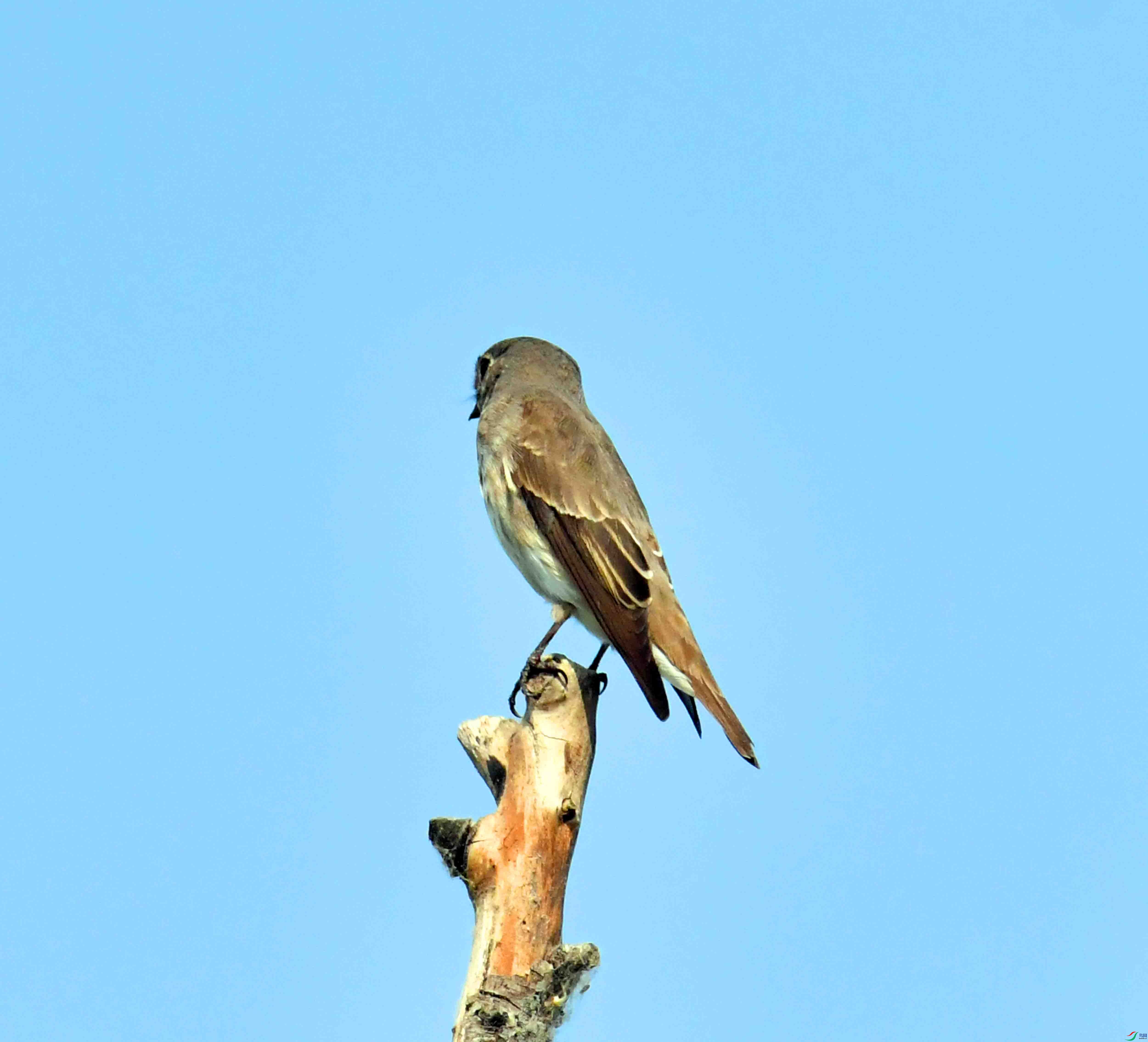 DSC_2073.JPG
