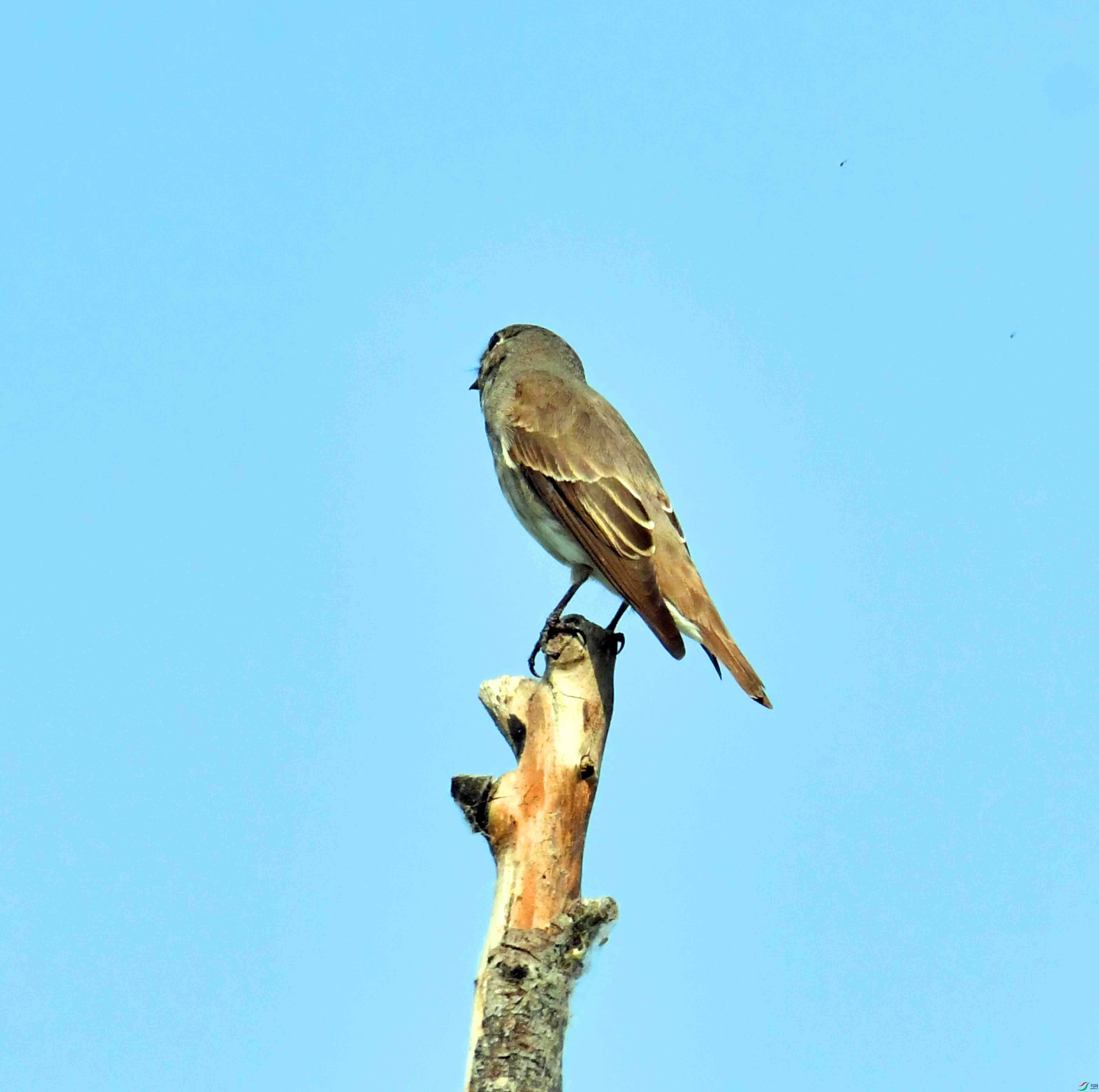 DSC_2077.JPG