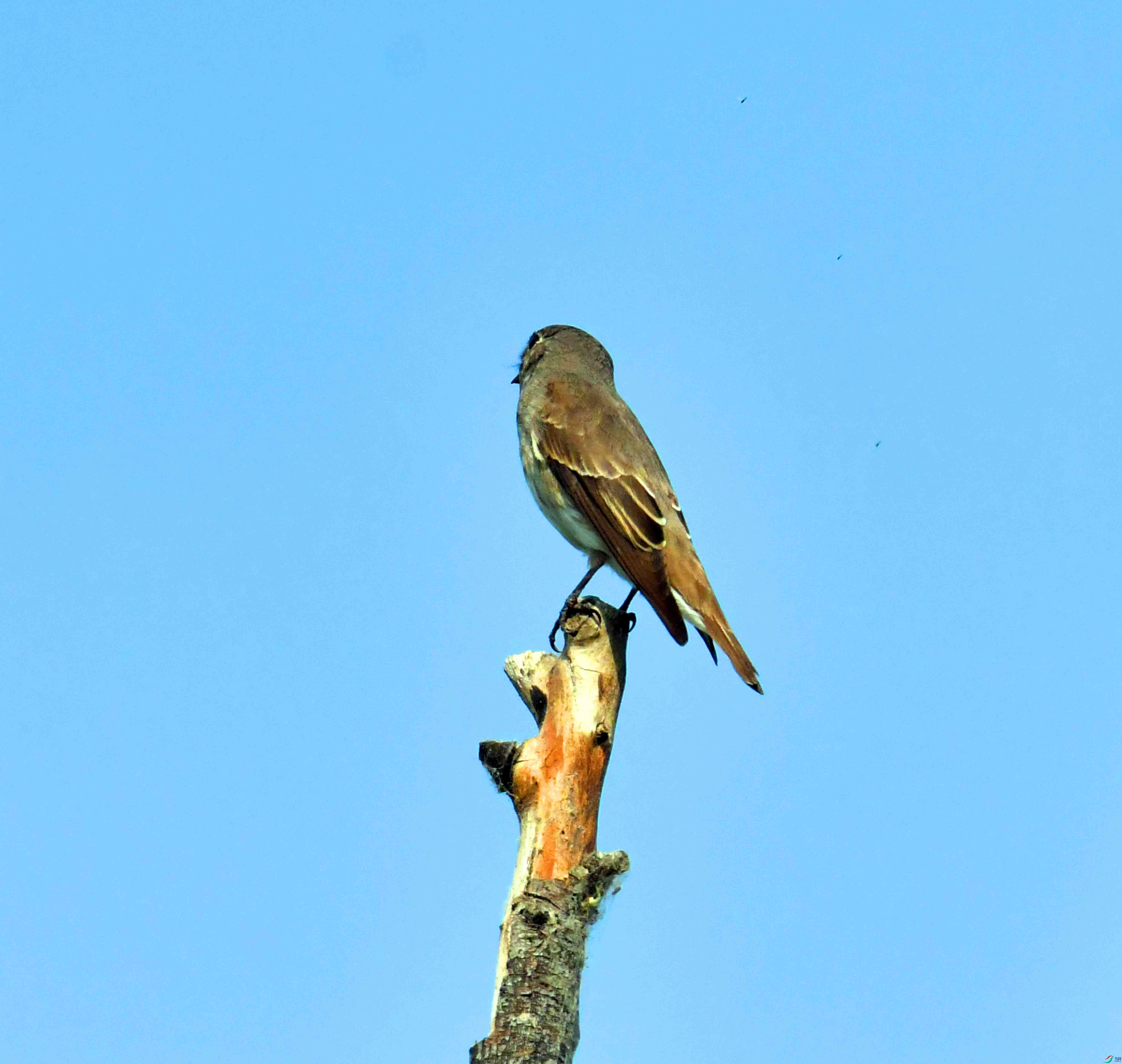 DSC_2076.JPG