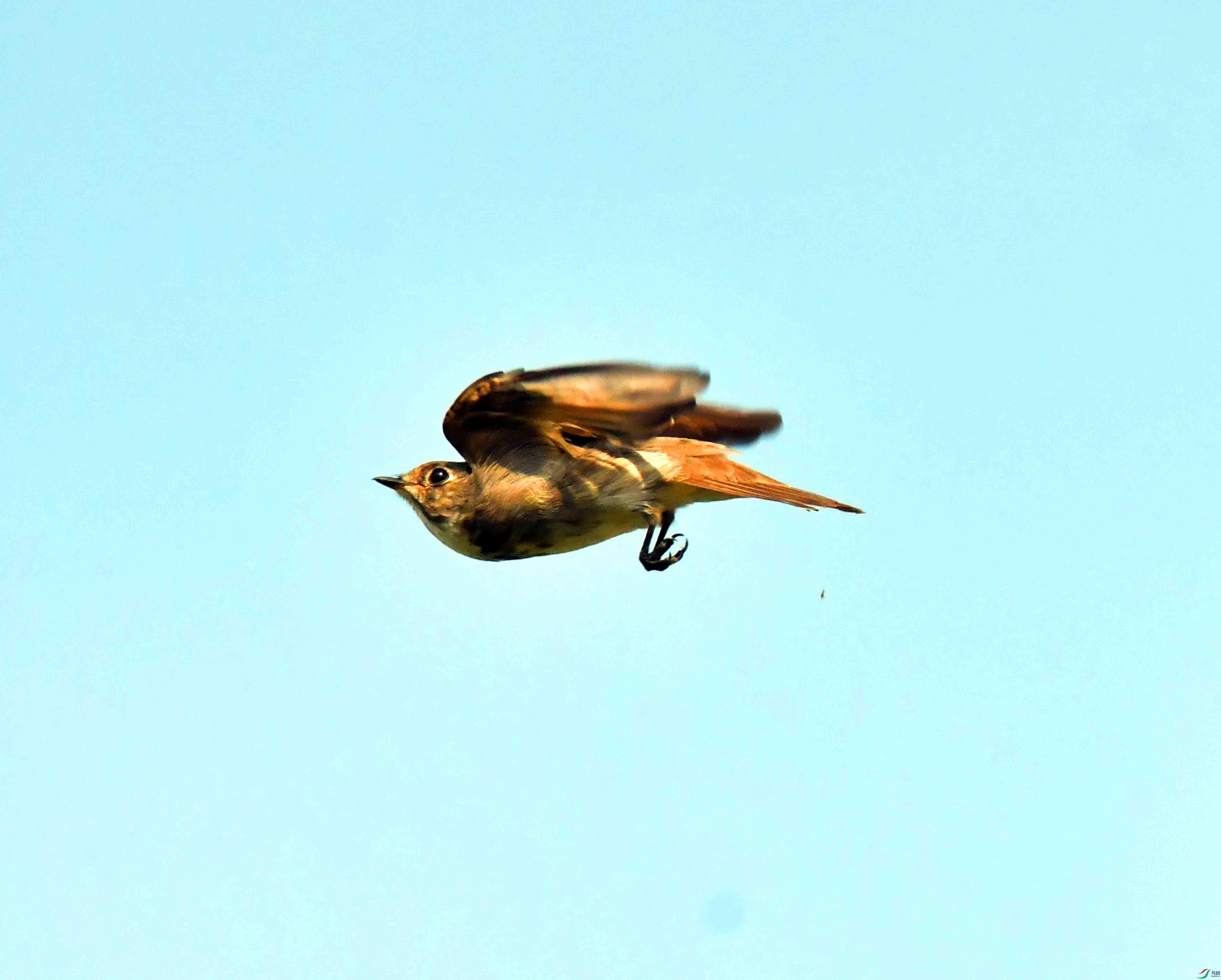 DSC_2078.JPG