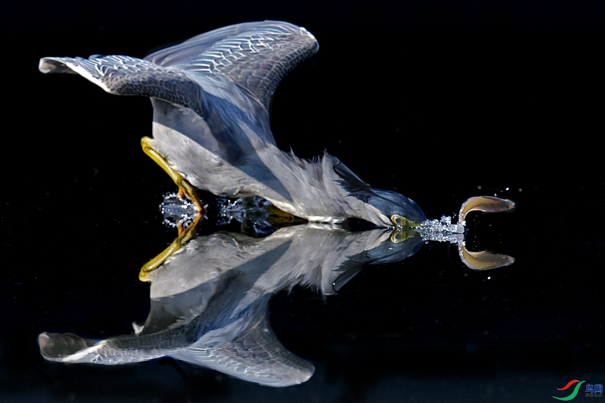 205152x88eqxnmxhzlq8ka (1).jpg