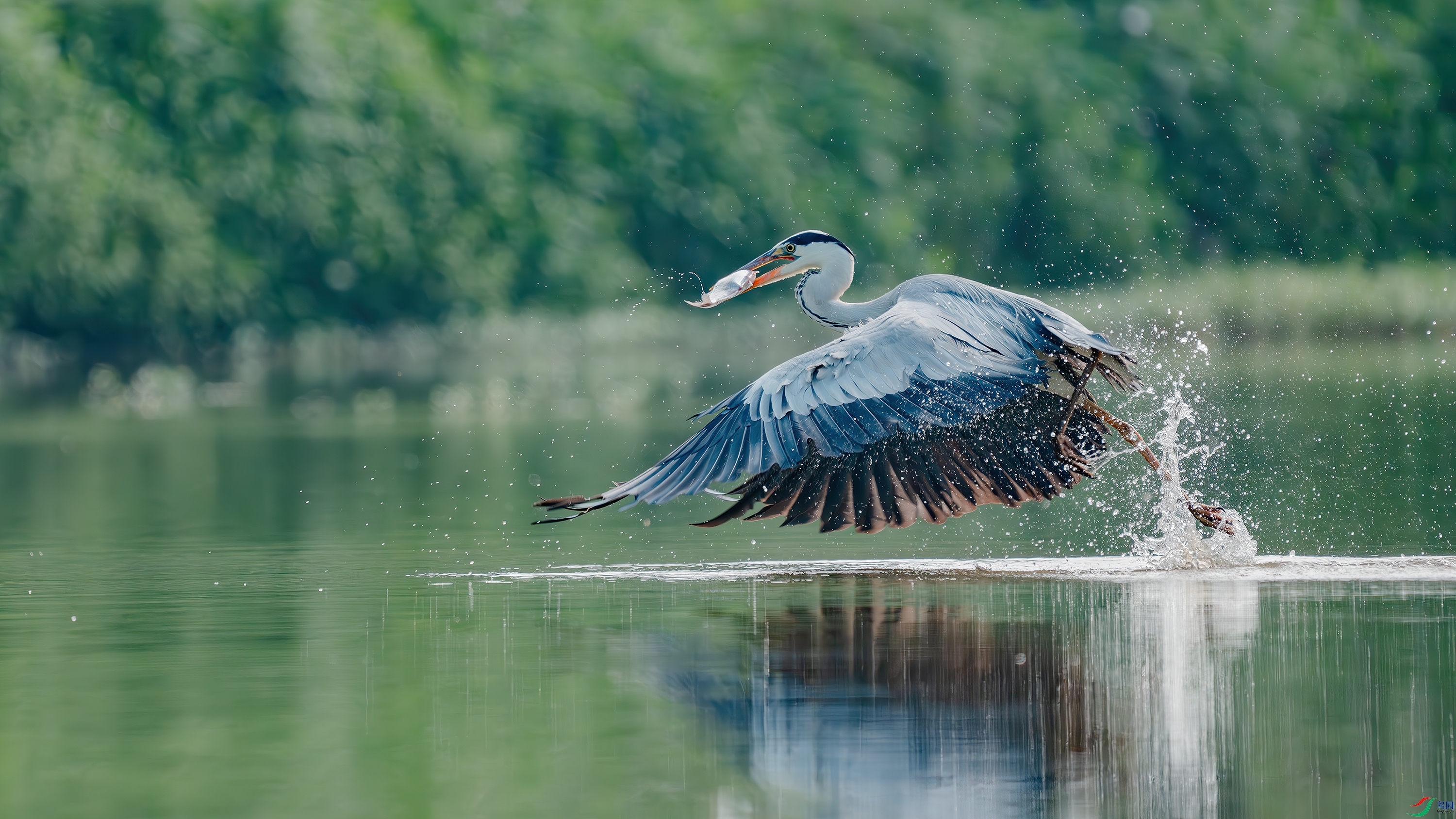 _DSC8045 ����.jpg