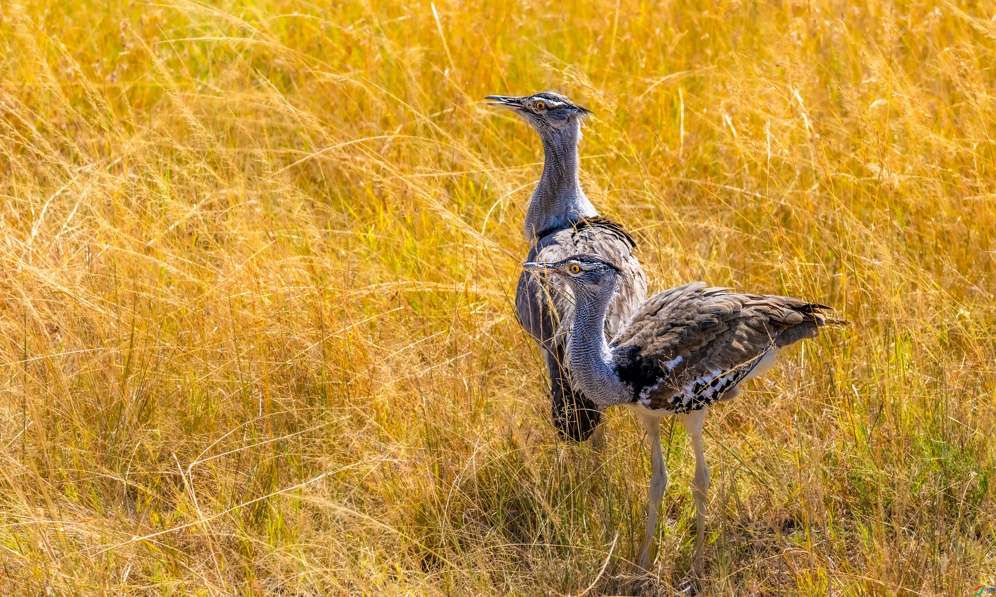 DSC_0365.jpg