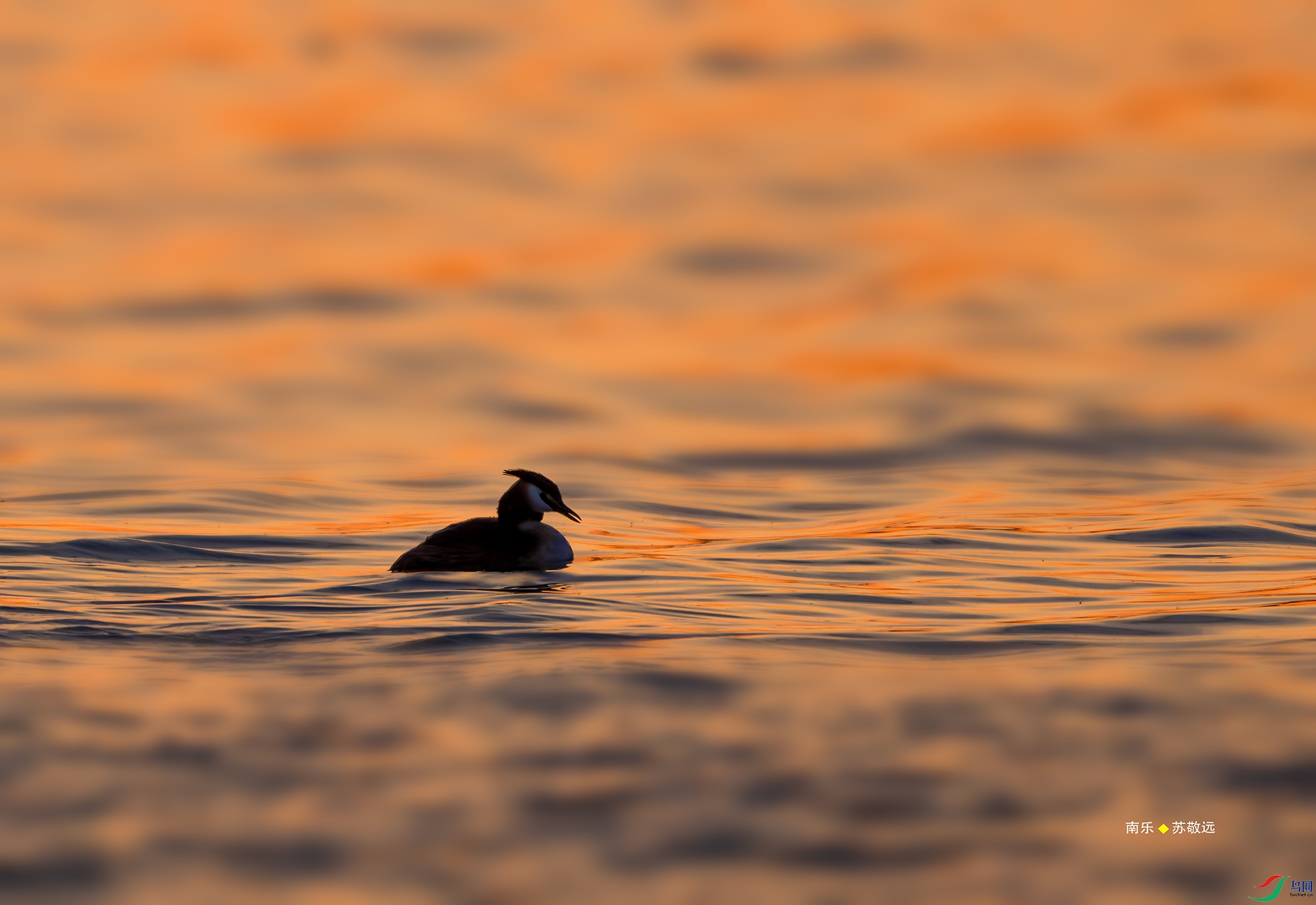 20250429-_DSC1490С.jpg