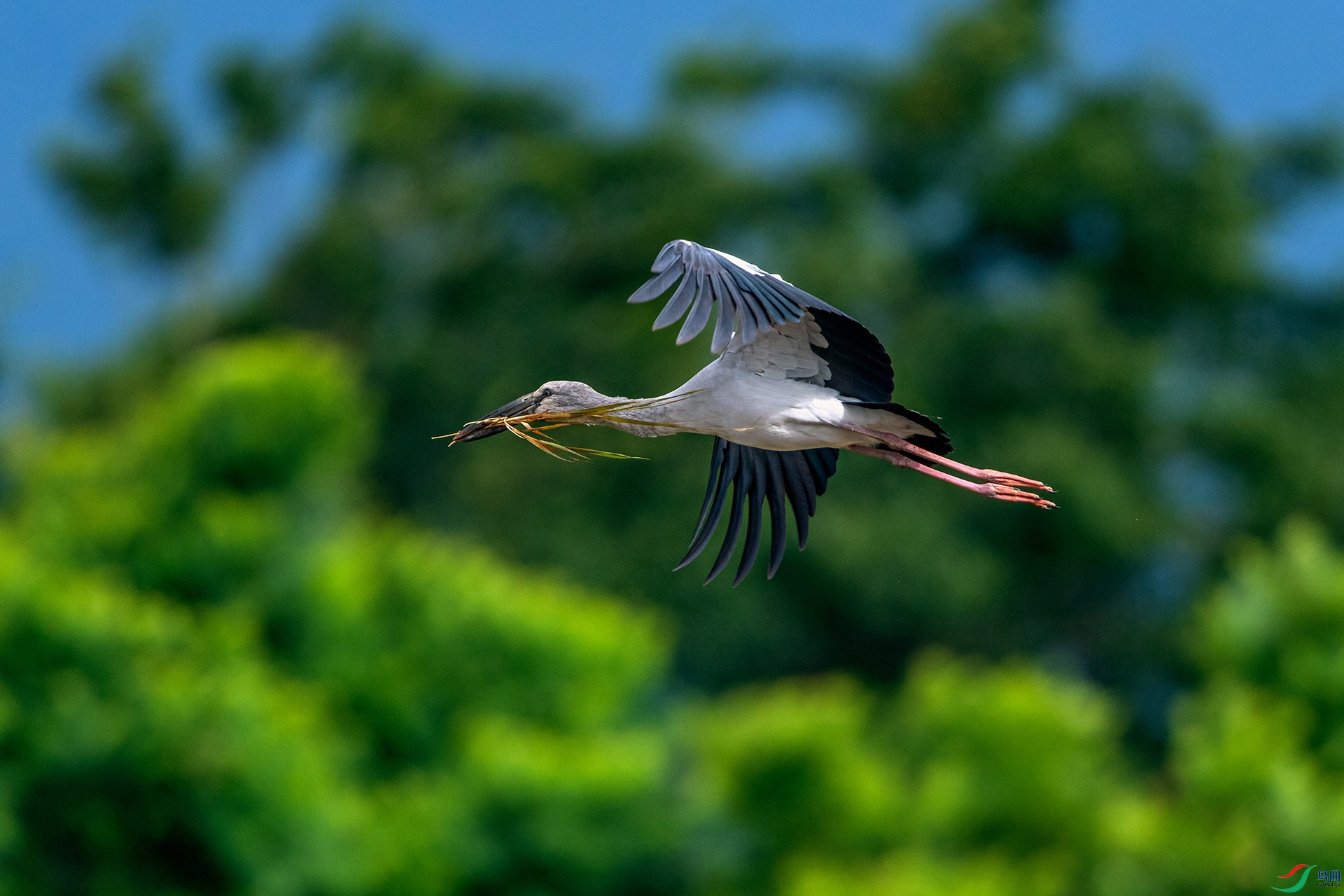 _AUU6980����æ(24.7.12).jpg