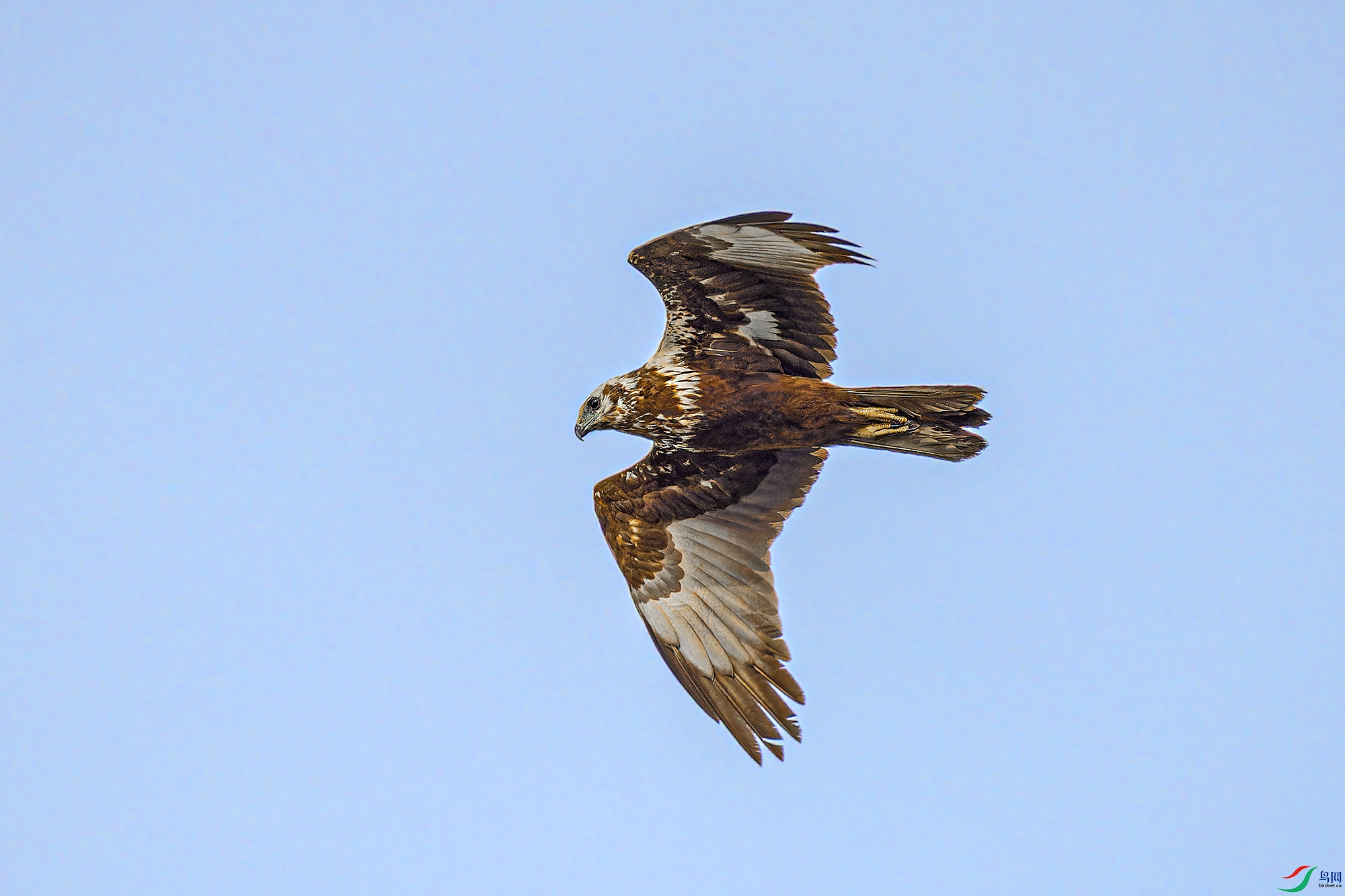 _97A1282-CR3 copy.jpg