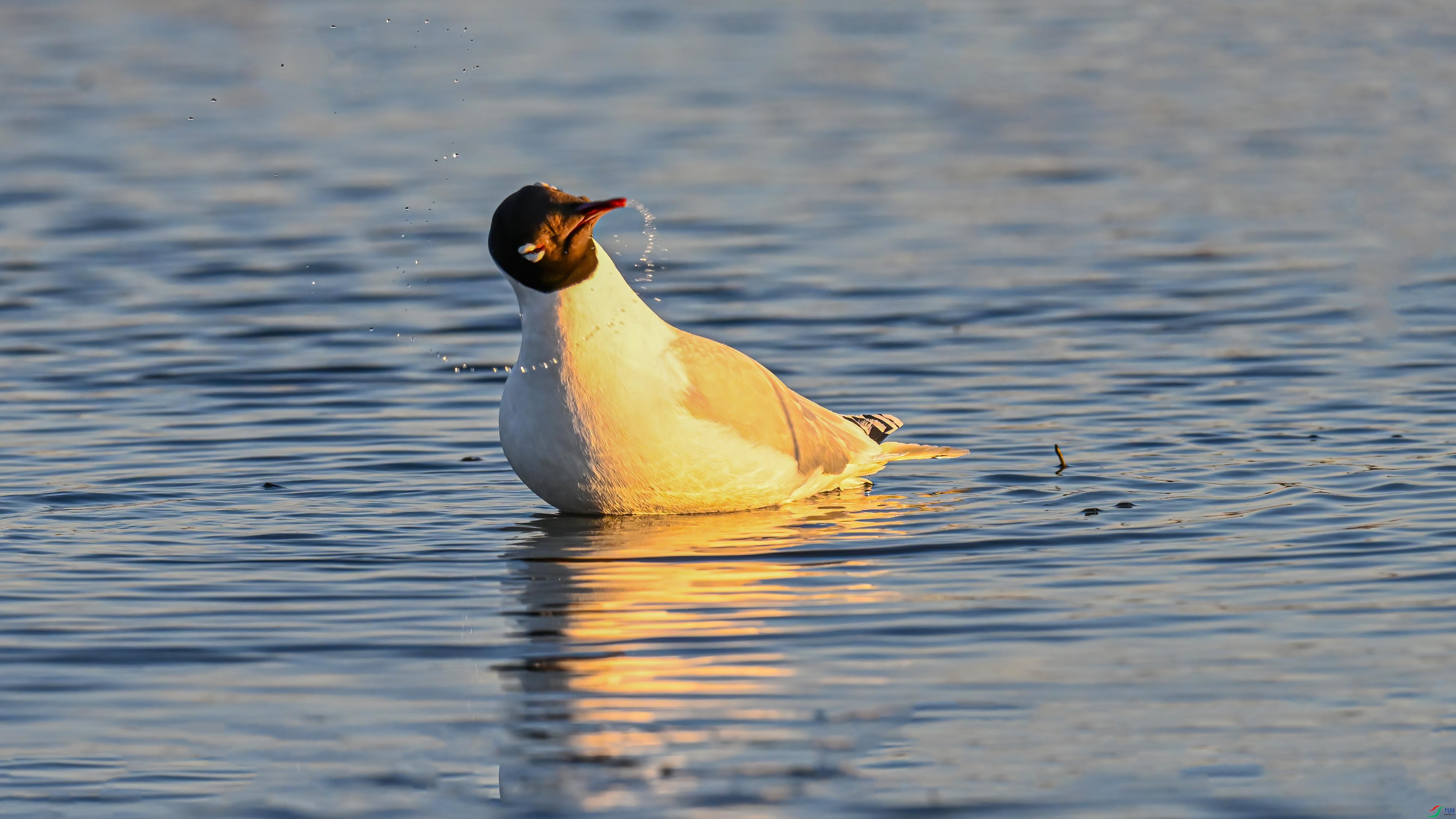 DSC_8164.jpg