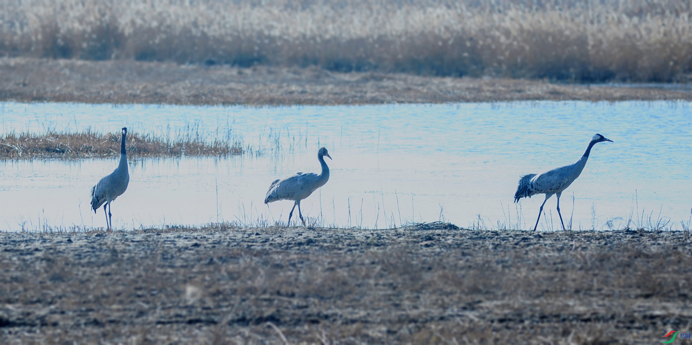 DSC_5189_.jpg