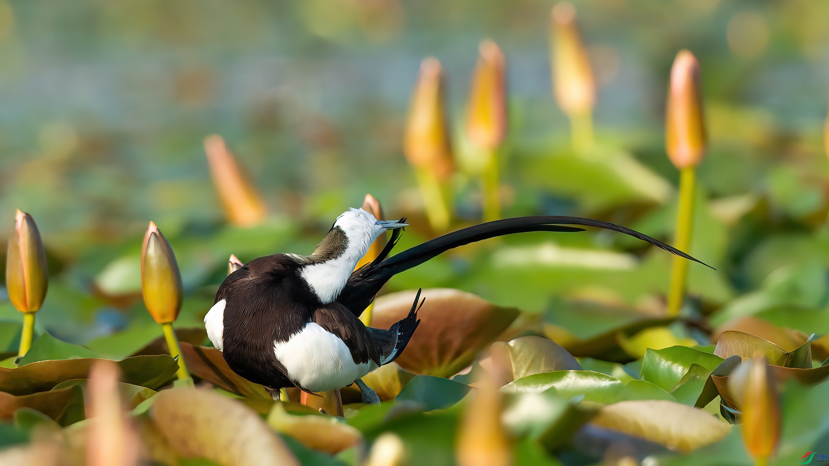 048A8602 ����.jpg