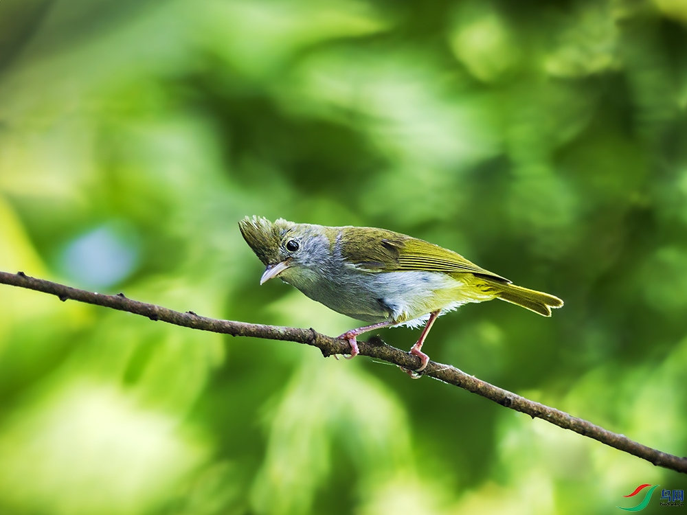 _L4I1977�׸�����-��Ѱ ����.jpg