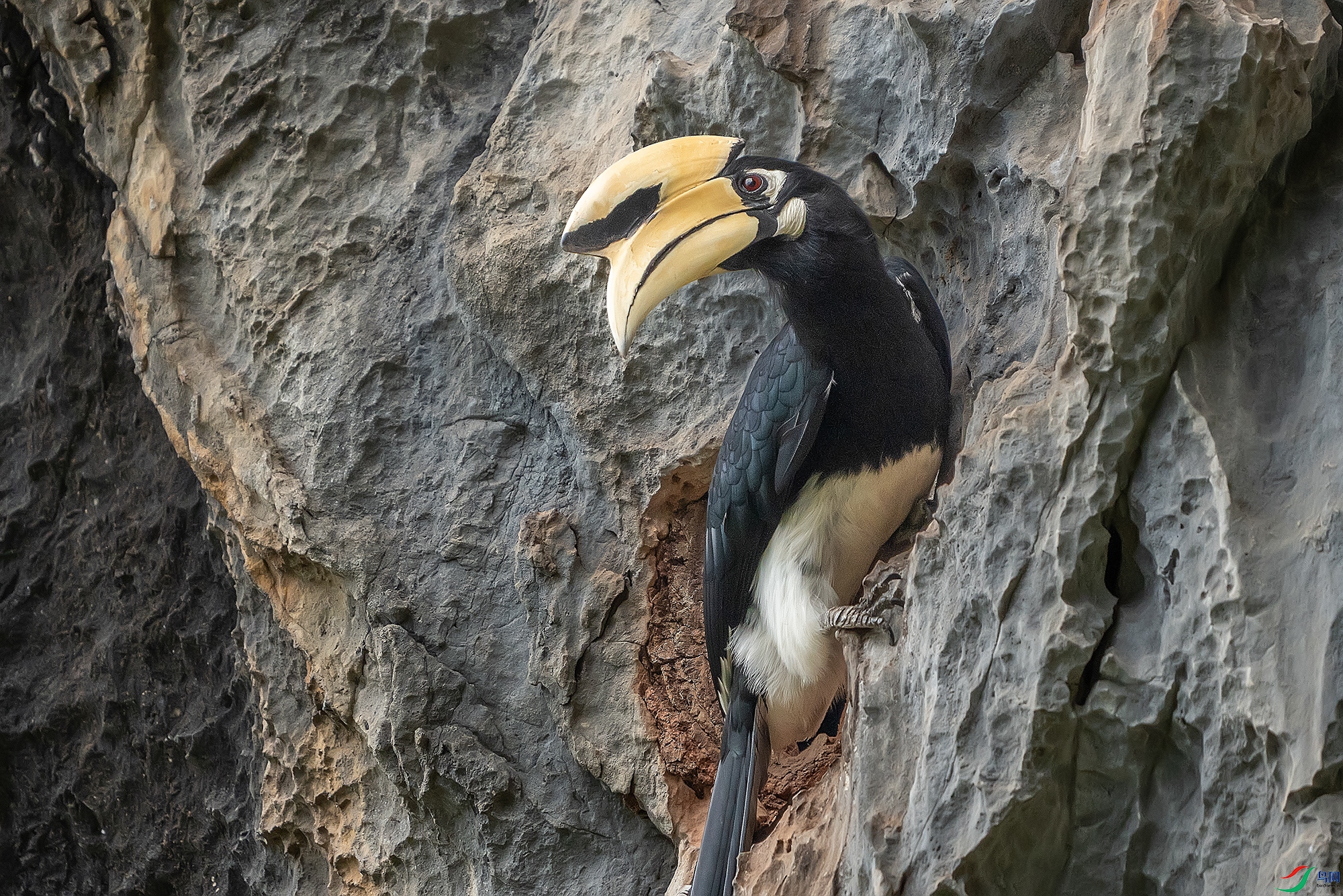 DSC06396 ����.jpg