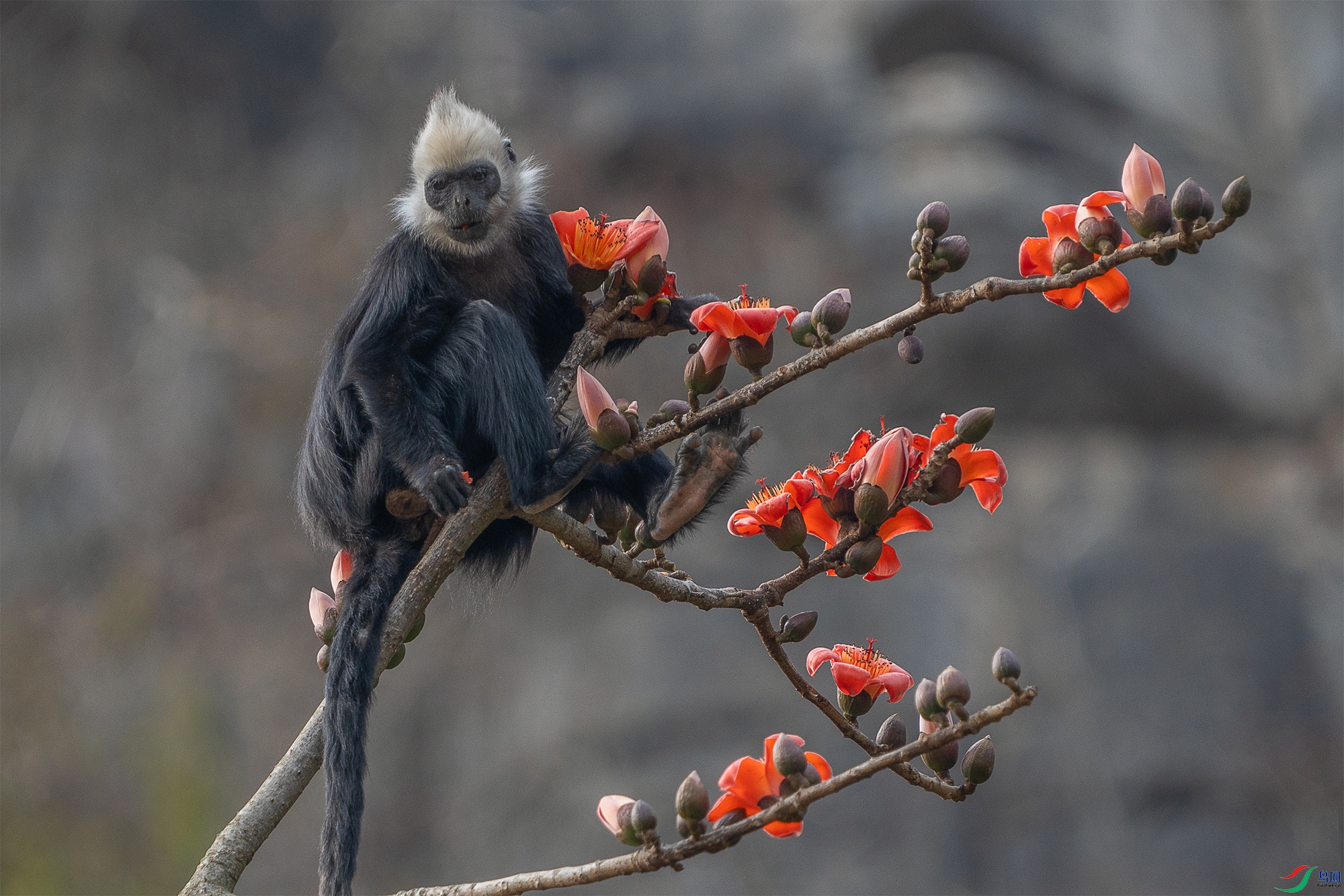 DSC06780 ����.jpg