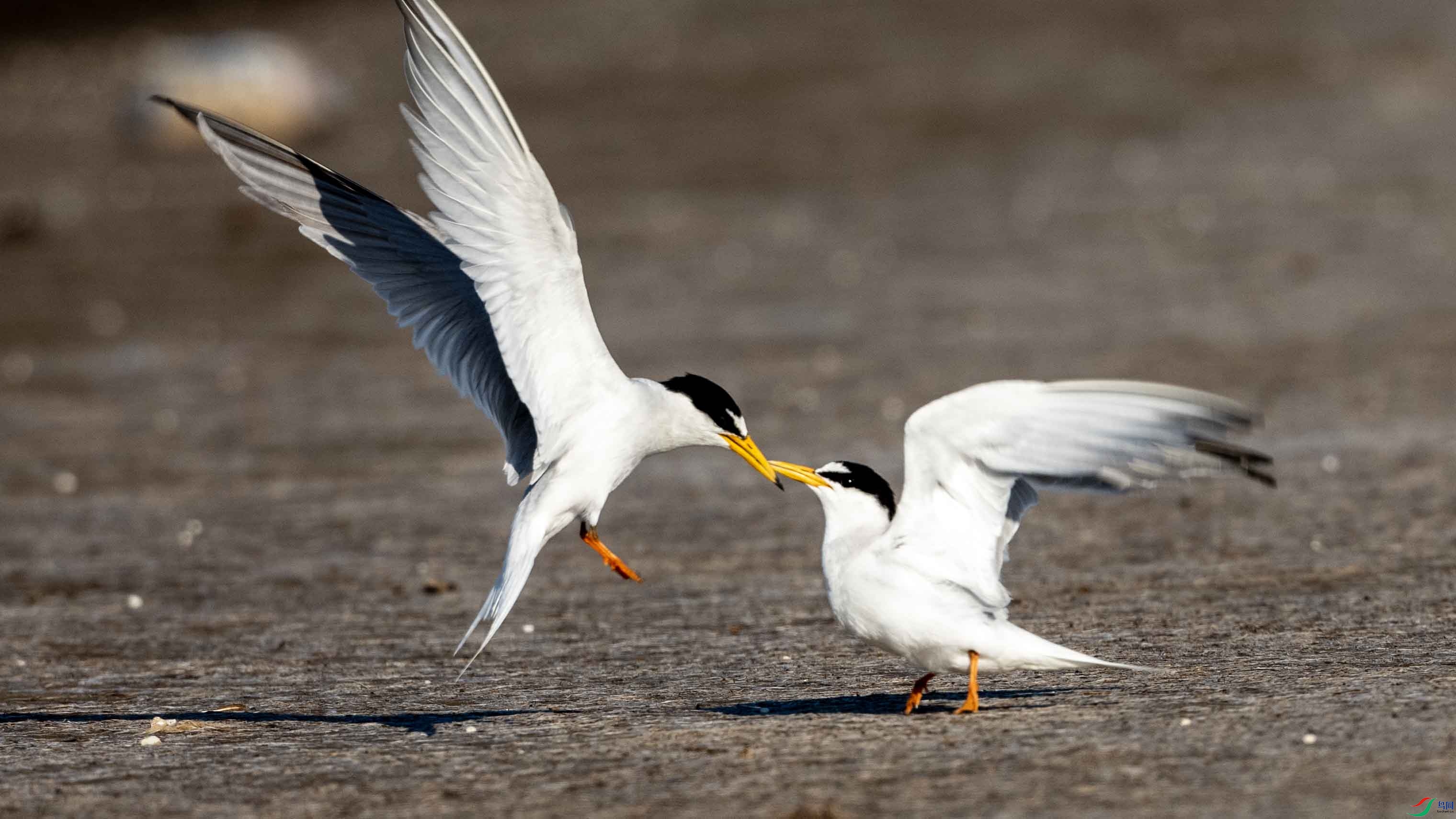 _LYF7959 ����.jpg1.jpg