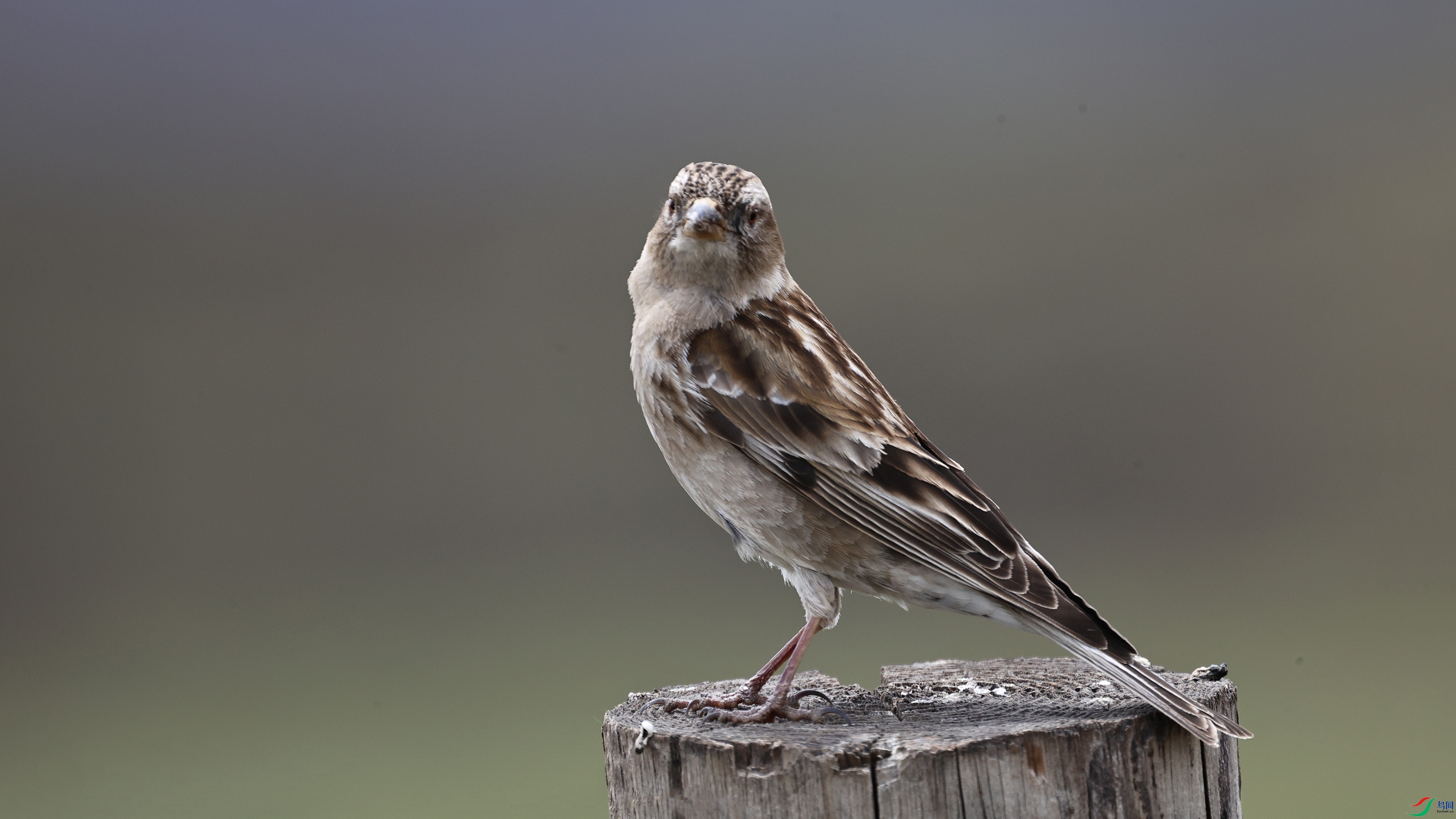 7X5A0686 ����444444.jpg