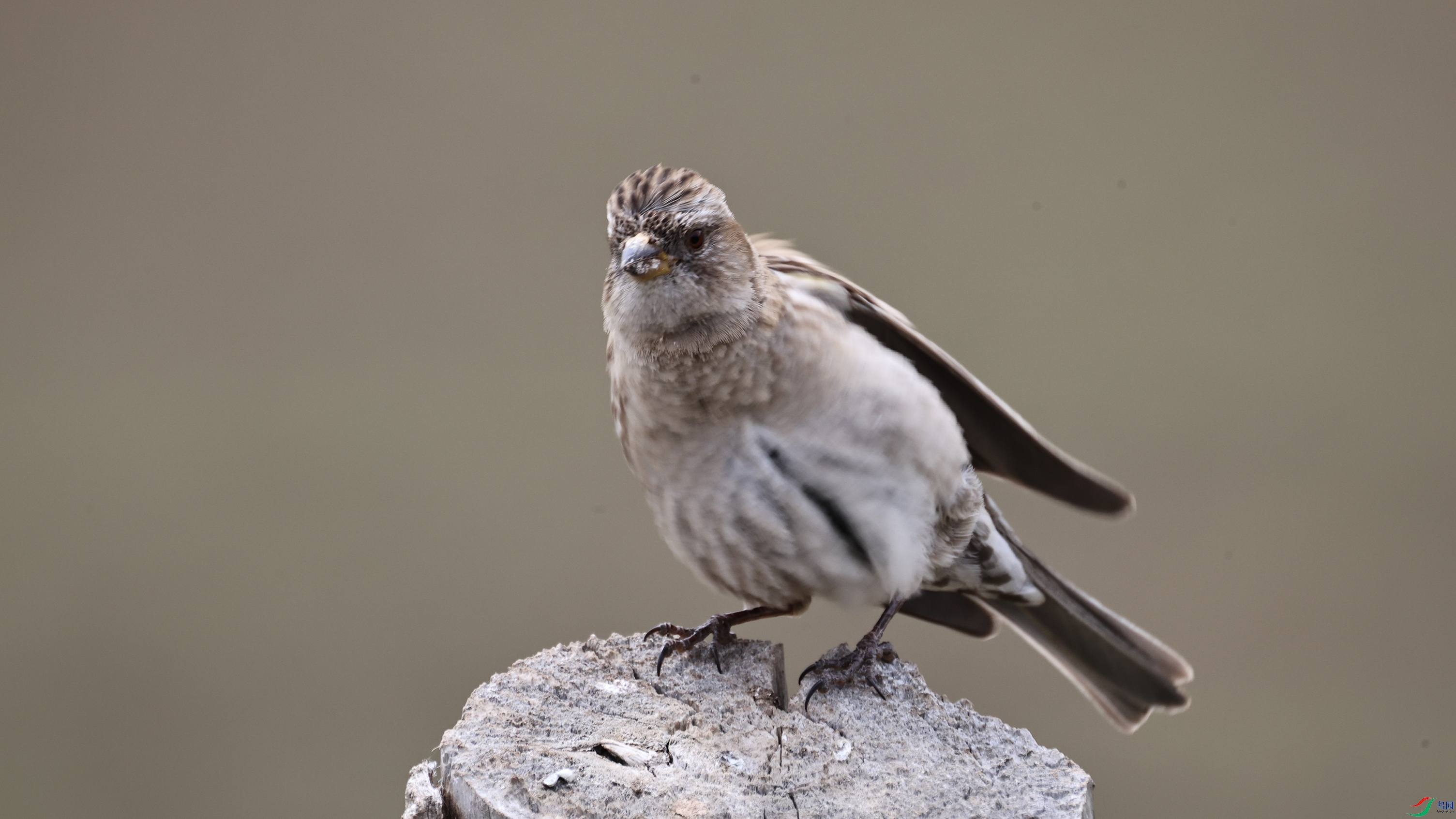 7X5A0791 ��4444.jpg