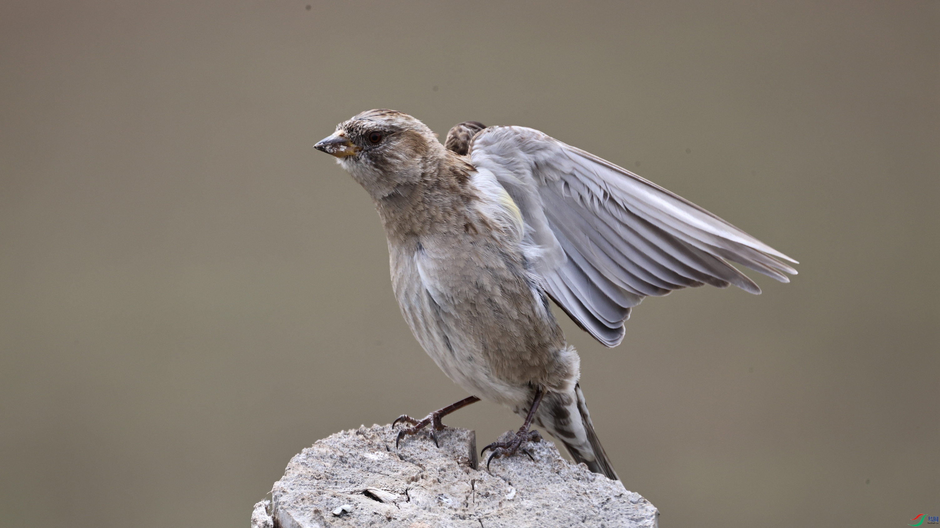 7X5A0808 ��4444.jpg