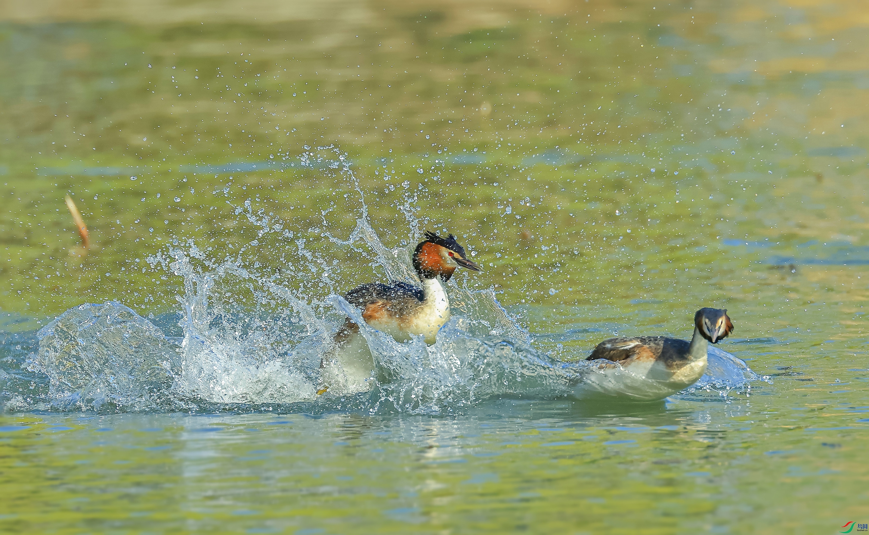 L10A0023 ����_����.jpg