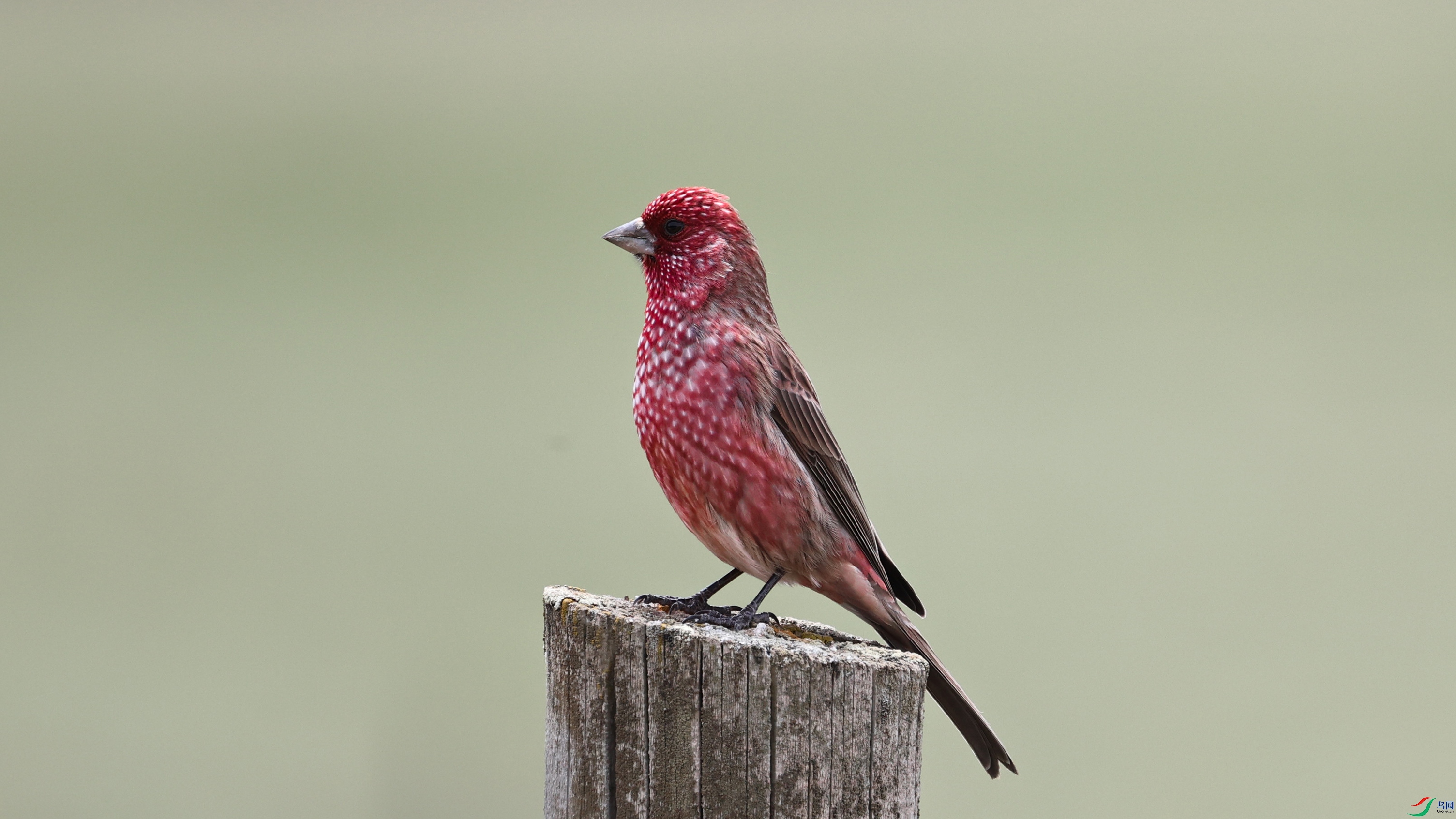 7X5A0842 ����44444.jpg