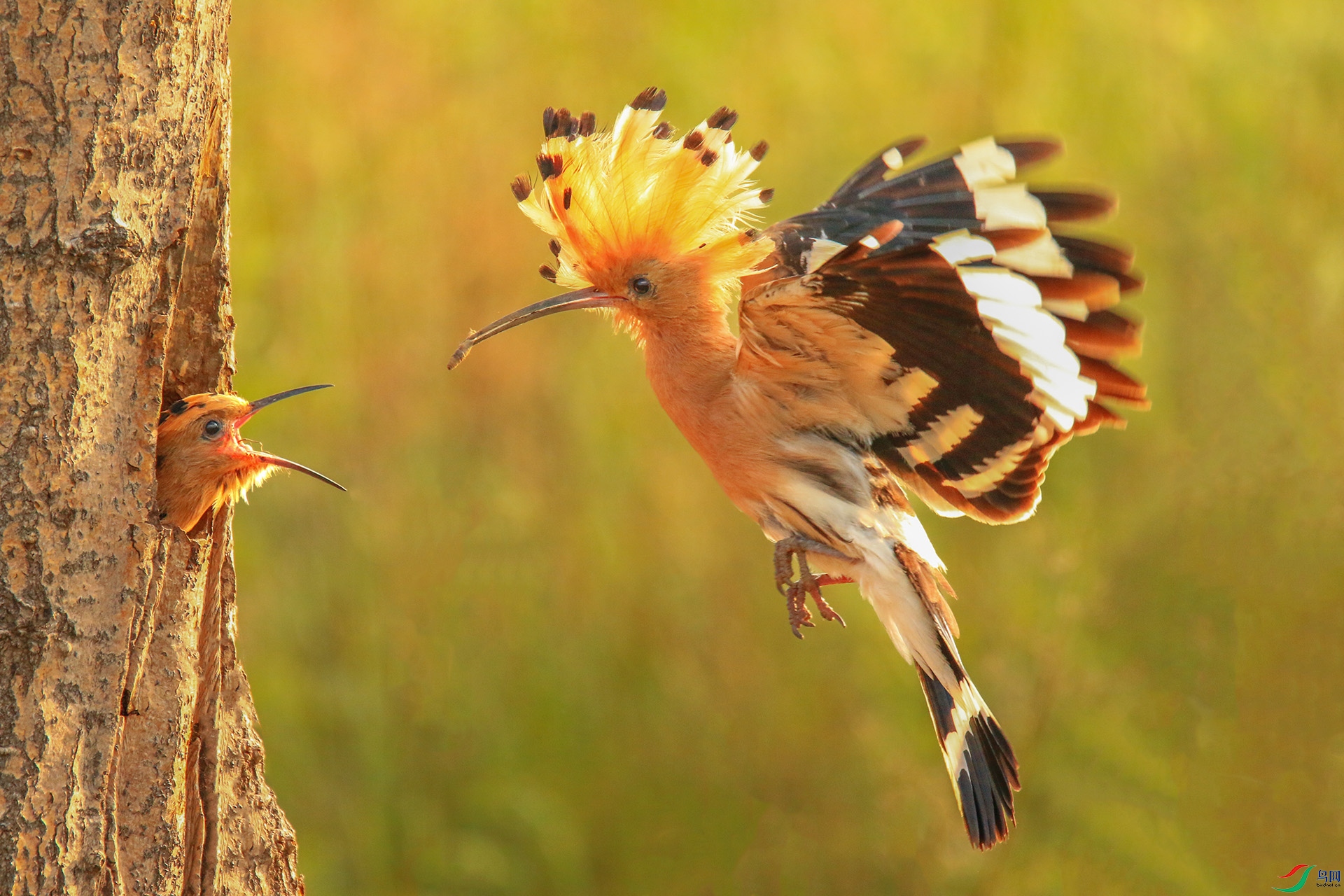 177A0488 ����.jpg