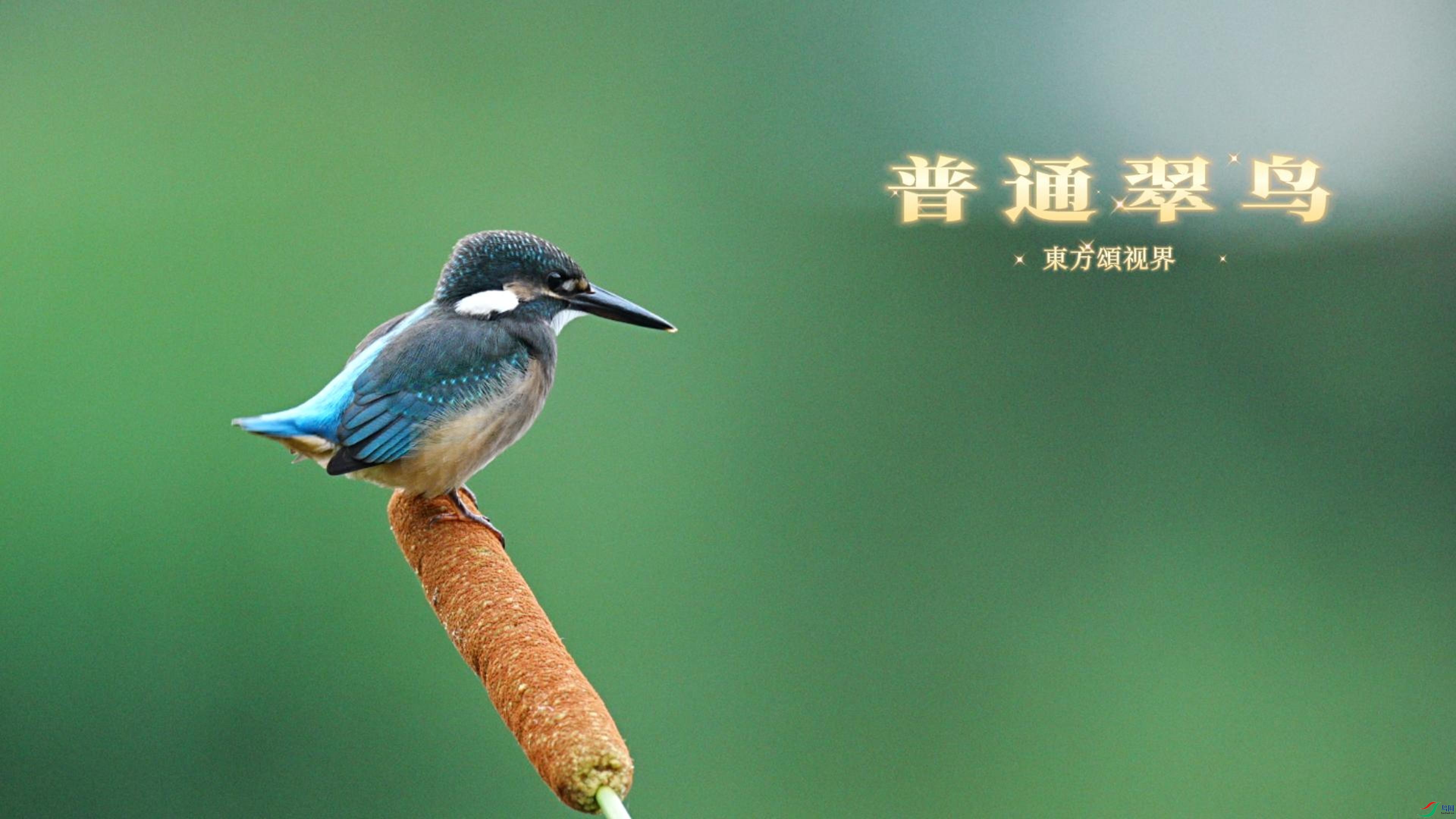 6��21�� ��-����.jpg