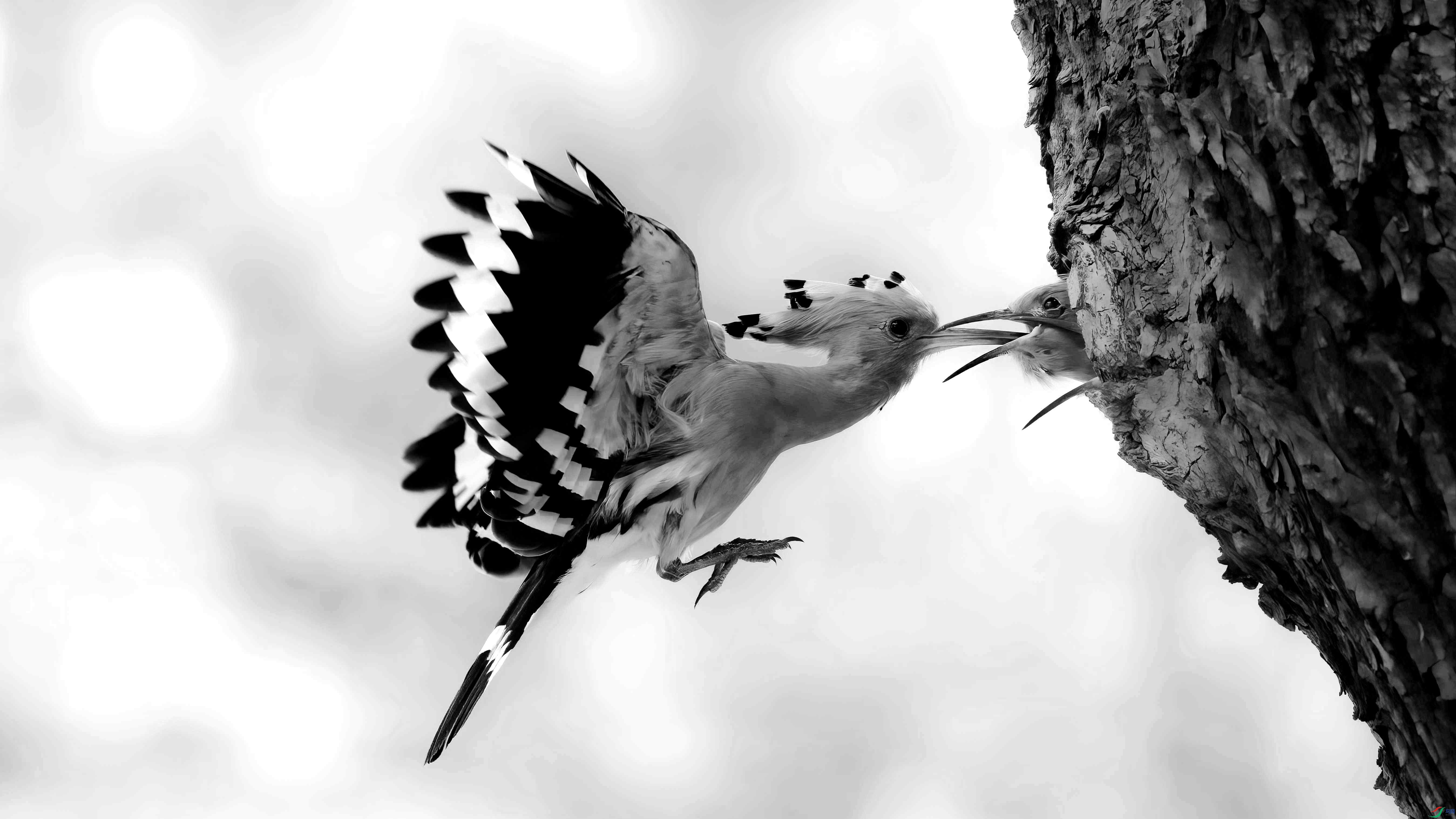 1DS_9724 ����_����_����_����.jpg