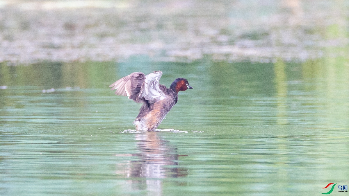 BB2X9121.jpg