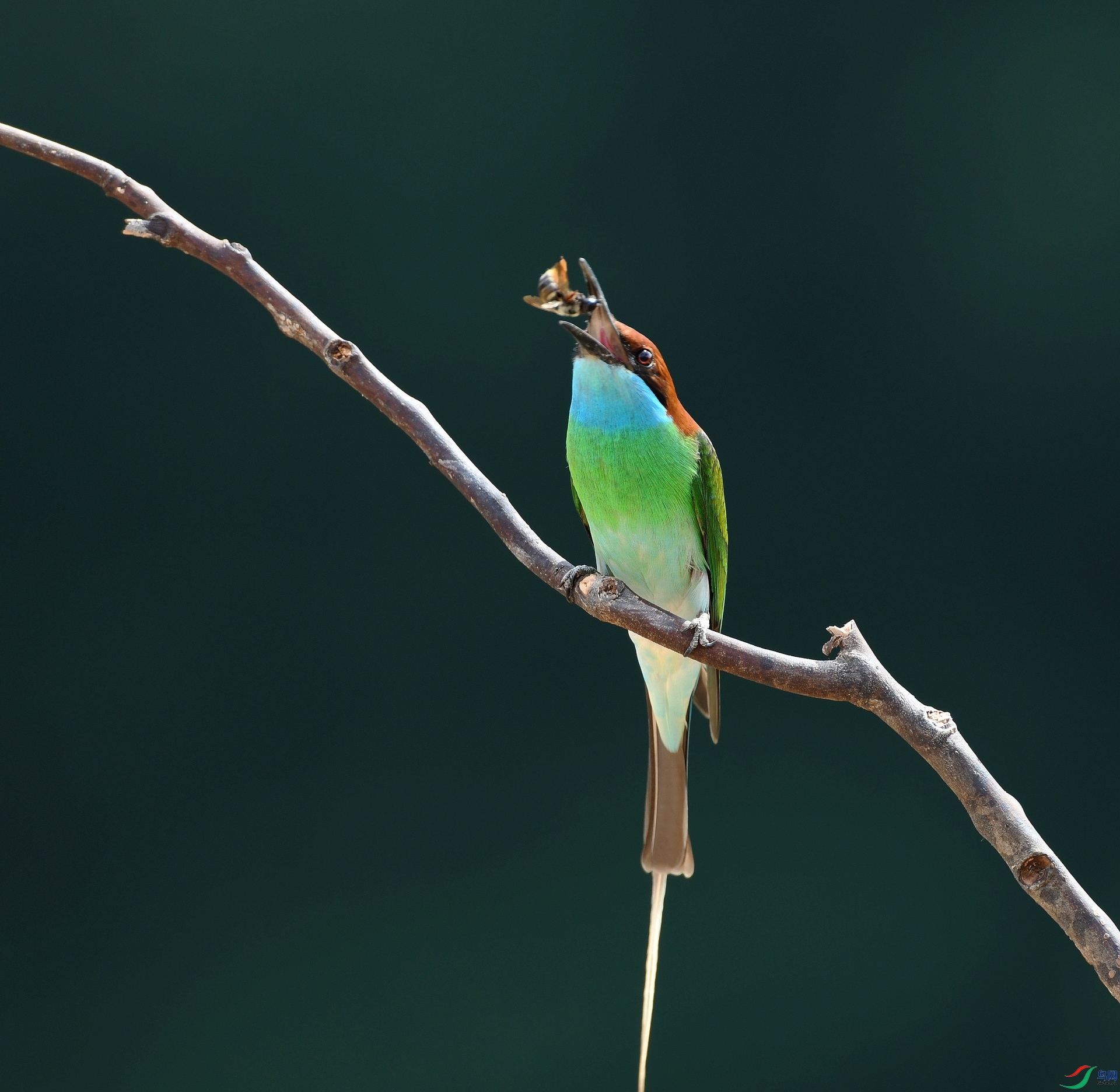 DSC_2695.jpg