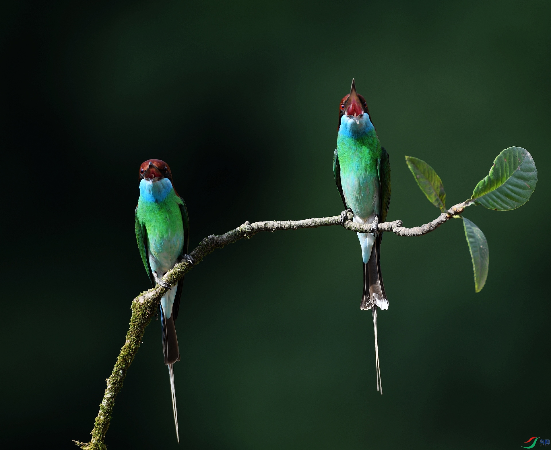 DSC_3071.jpg