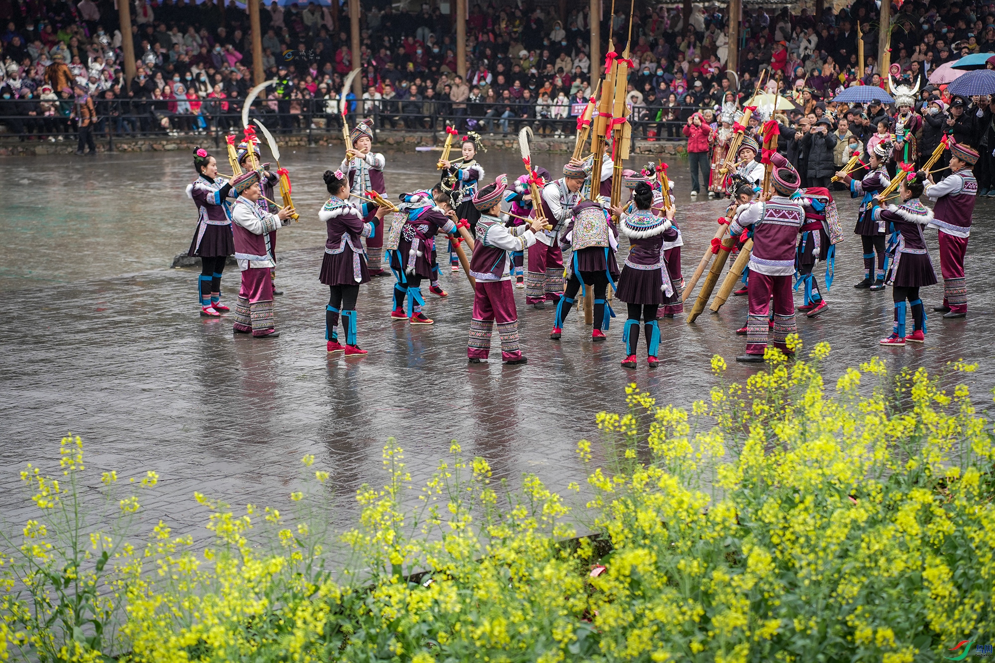 DSC02181 ����a11.jpg