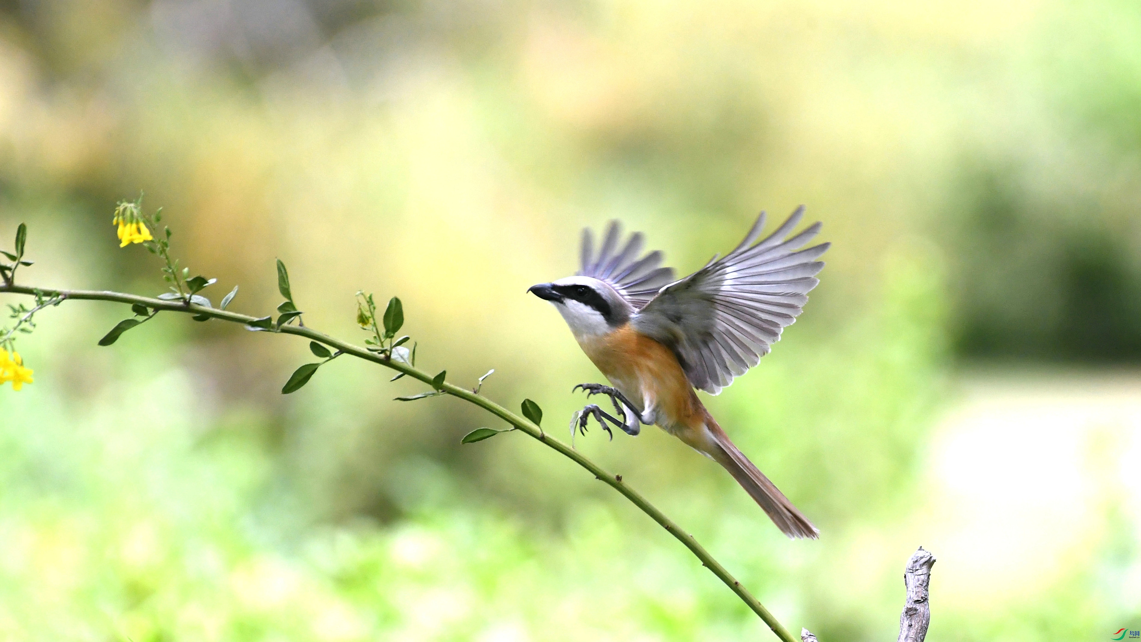 DSC_6168.JPG