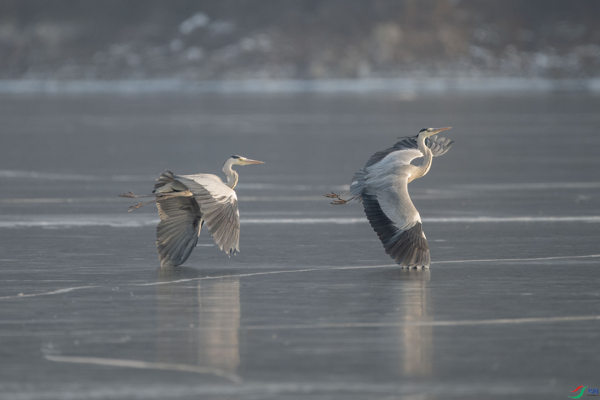 _DSC1431-1x1.jpg