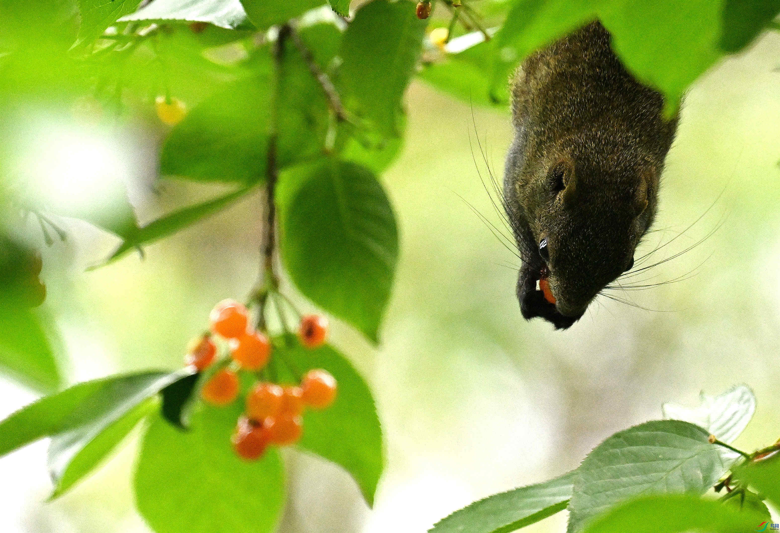 DSC_7689.JPG