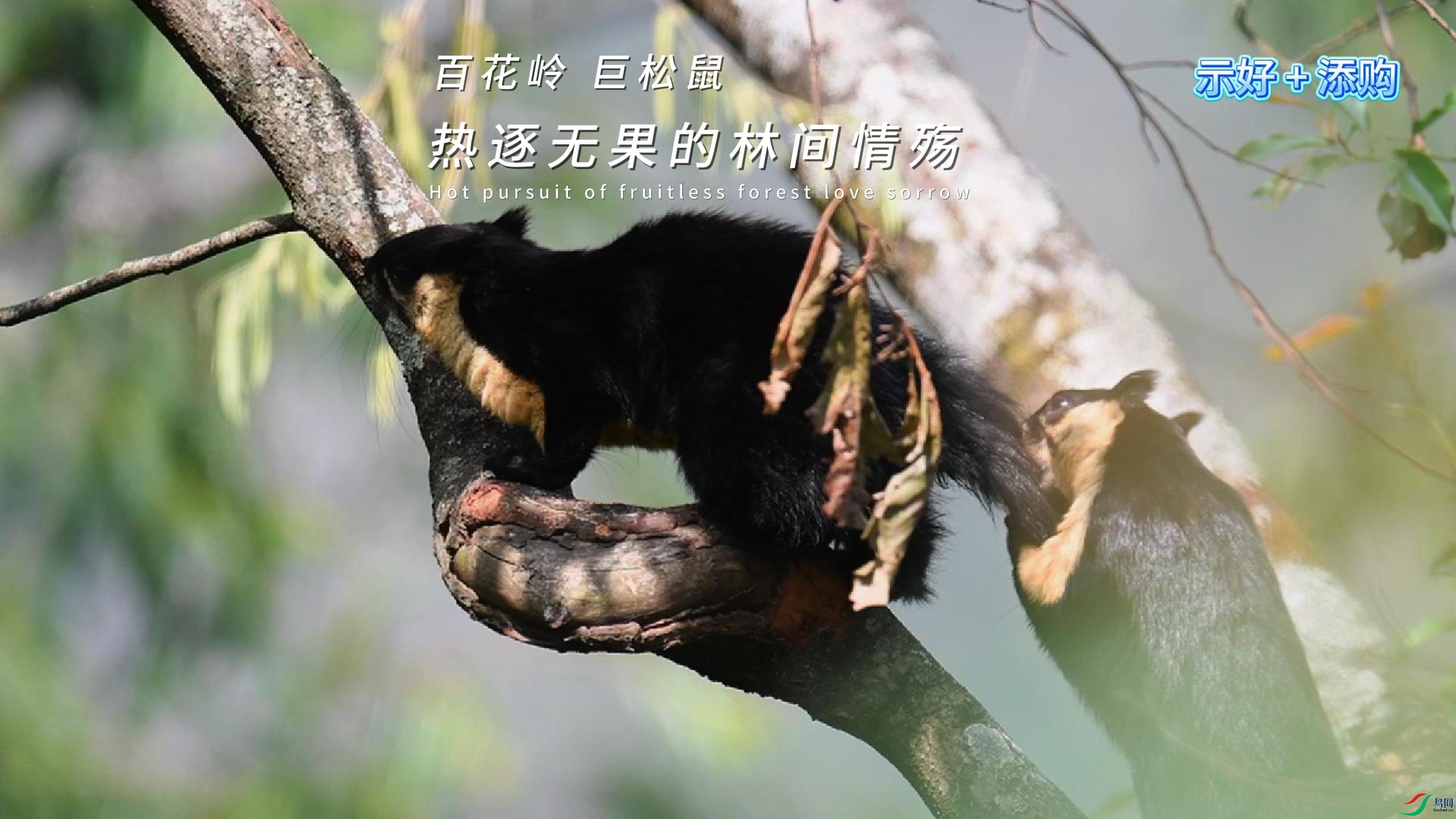 �ٻ��� ������ �����޹����ּ�����-����.jpg