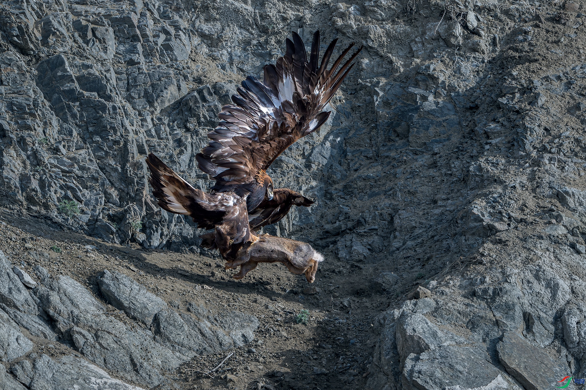 _DSC9652 ����С.jpg