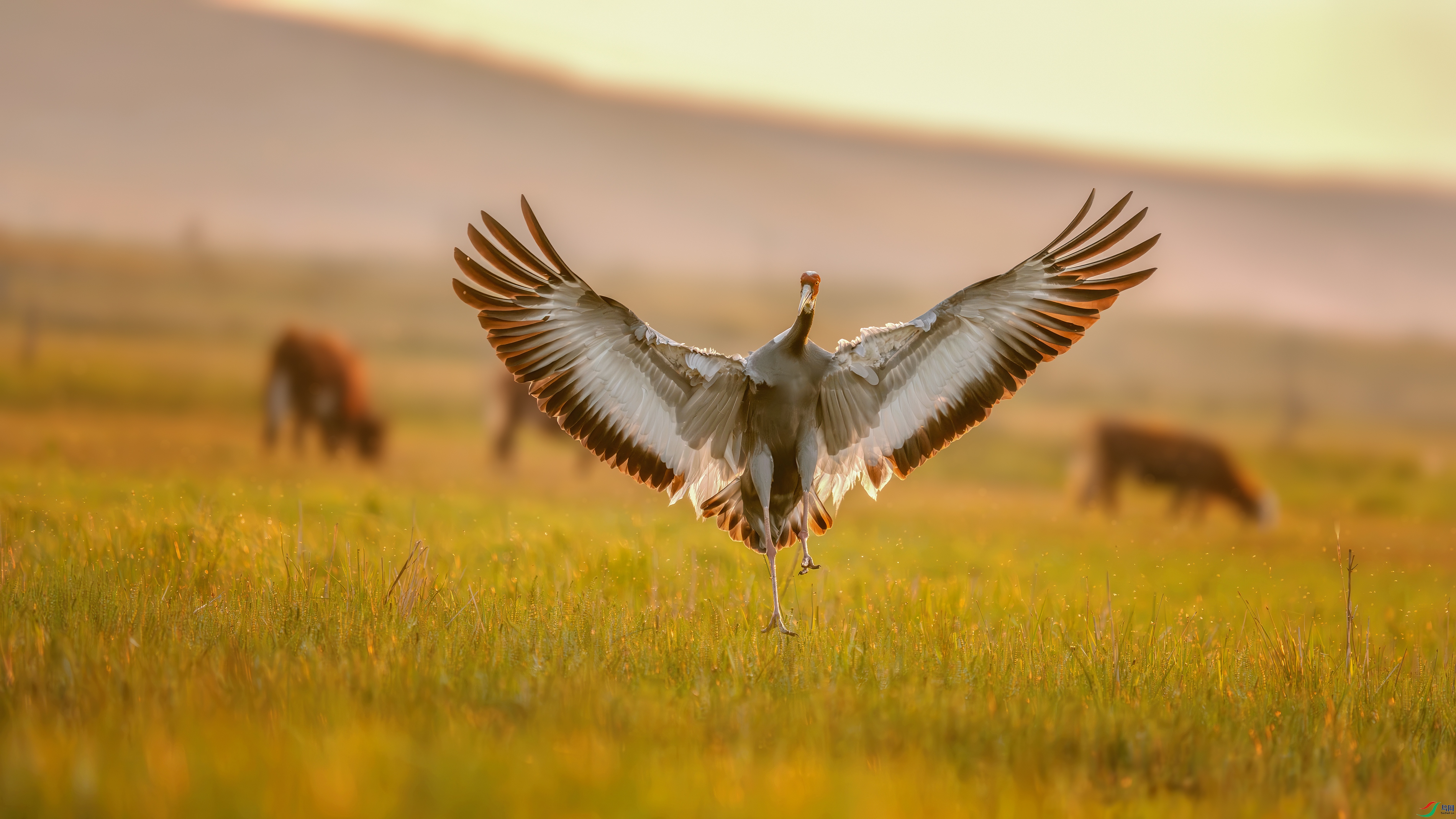 _DSC5588 ���� 2.jpg