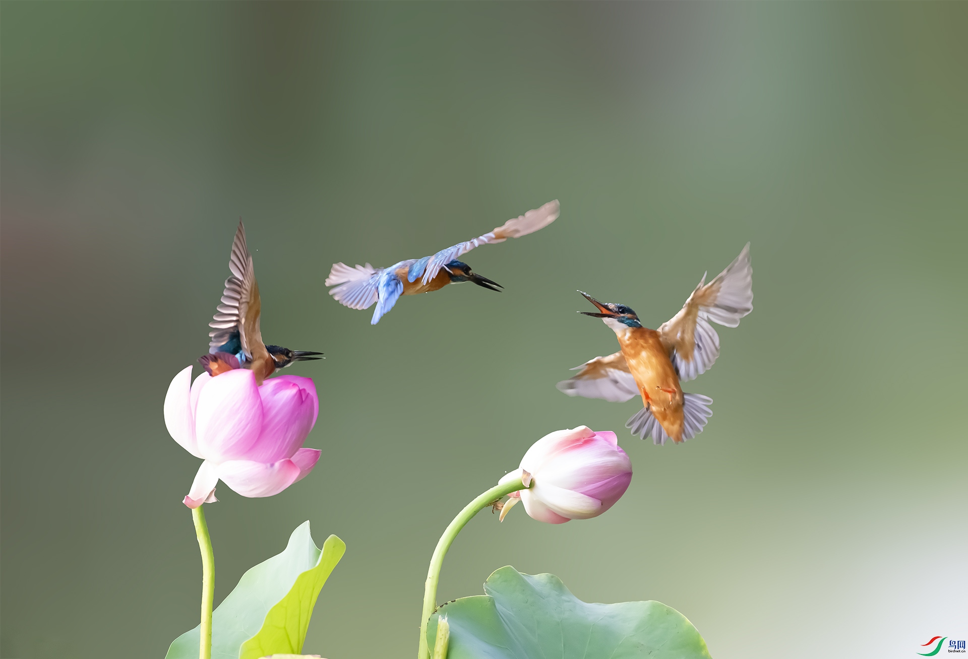 DM8W4847 ����2.jpg