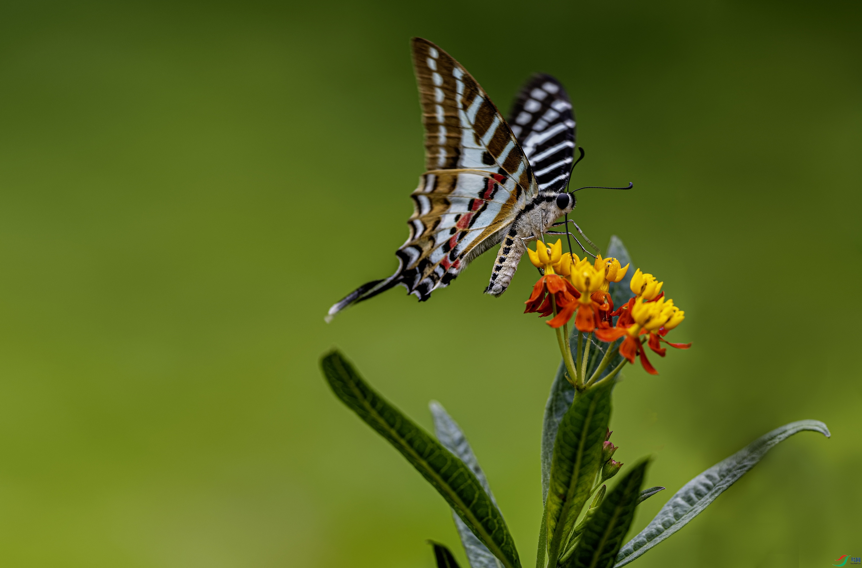 ����̷�� (282)-02.jpg