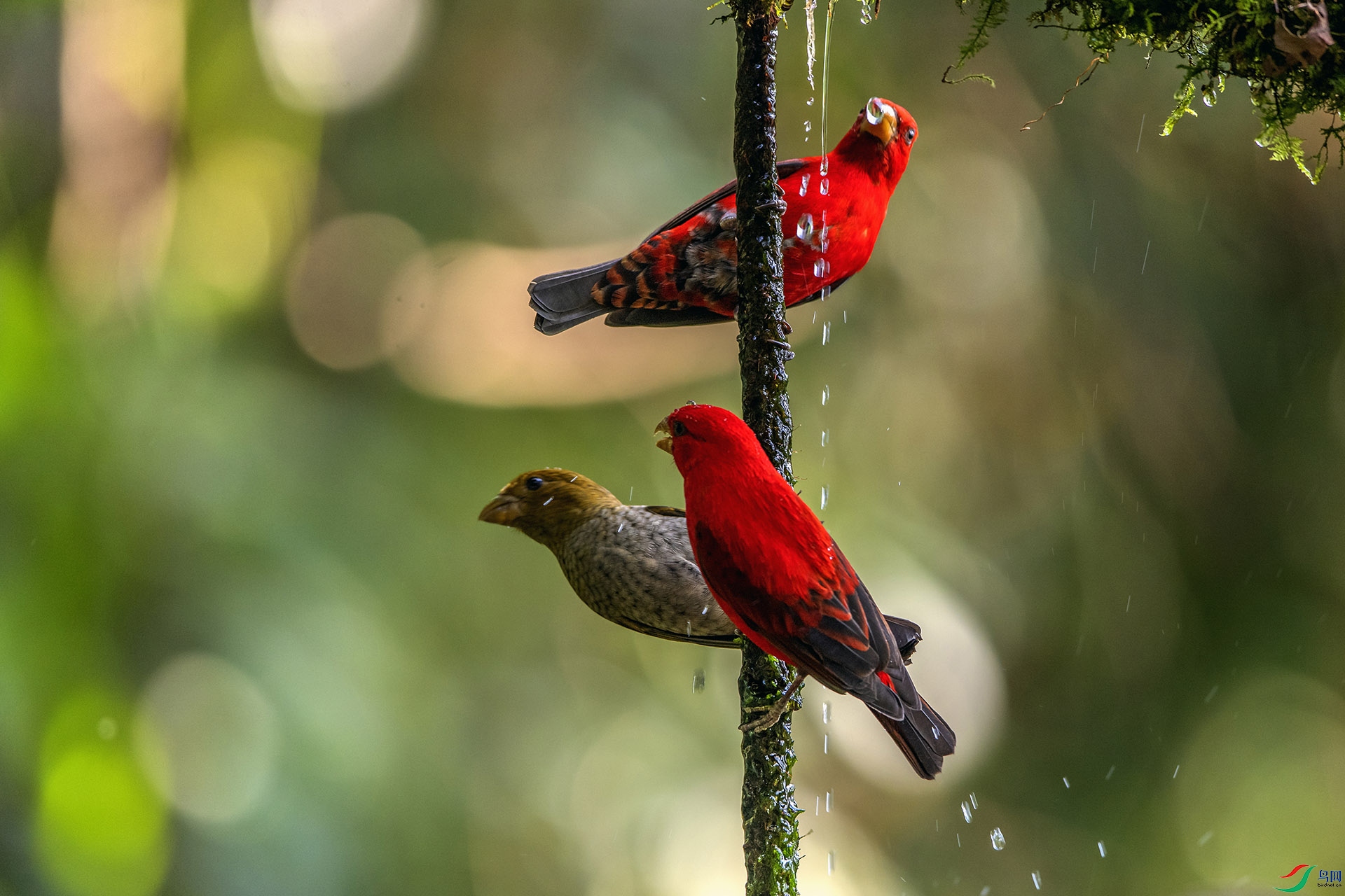 ��_AUU5980��С��(24.2.12)-1.jpg