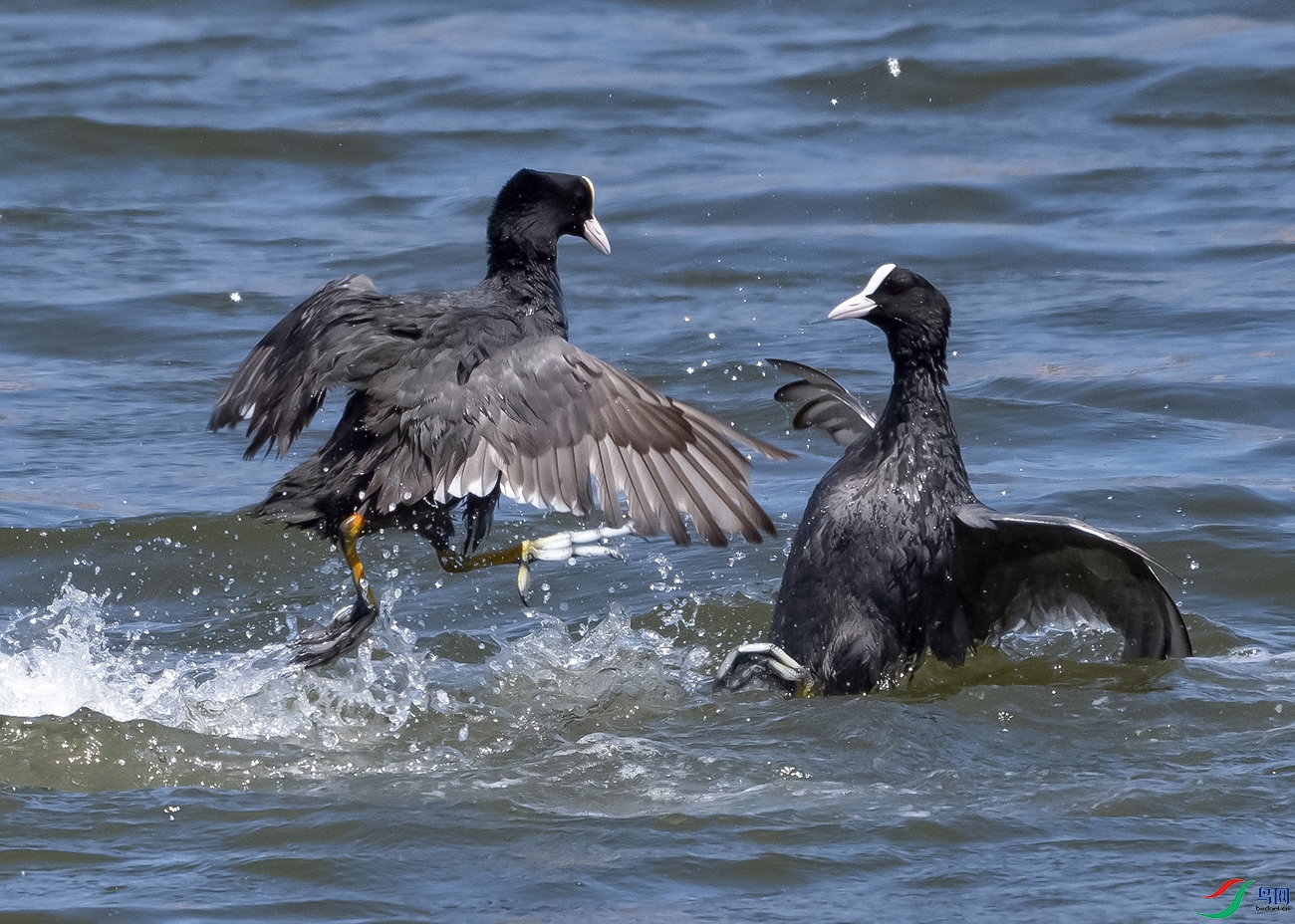 DSC_5843=.jpg