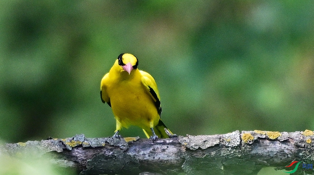 DSC_4477.JPG