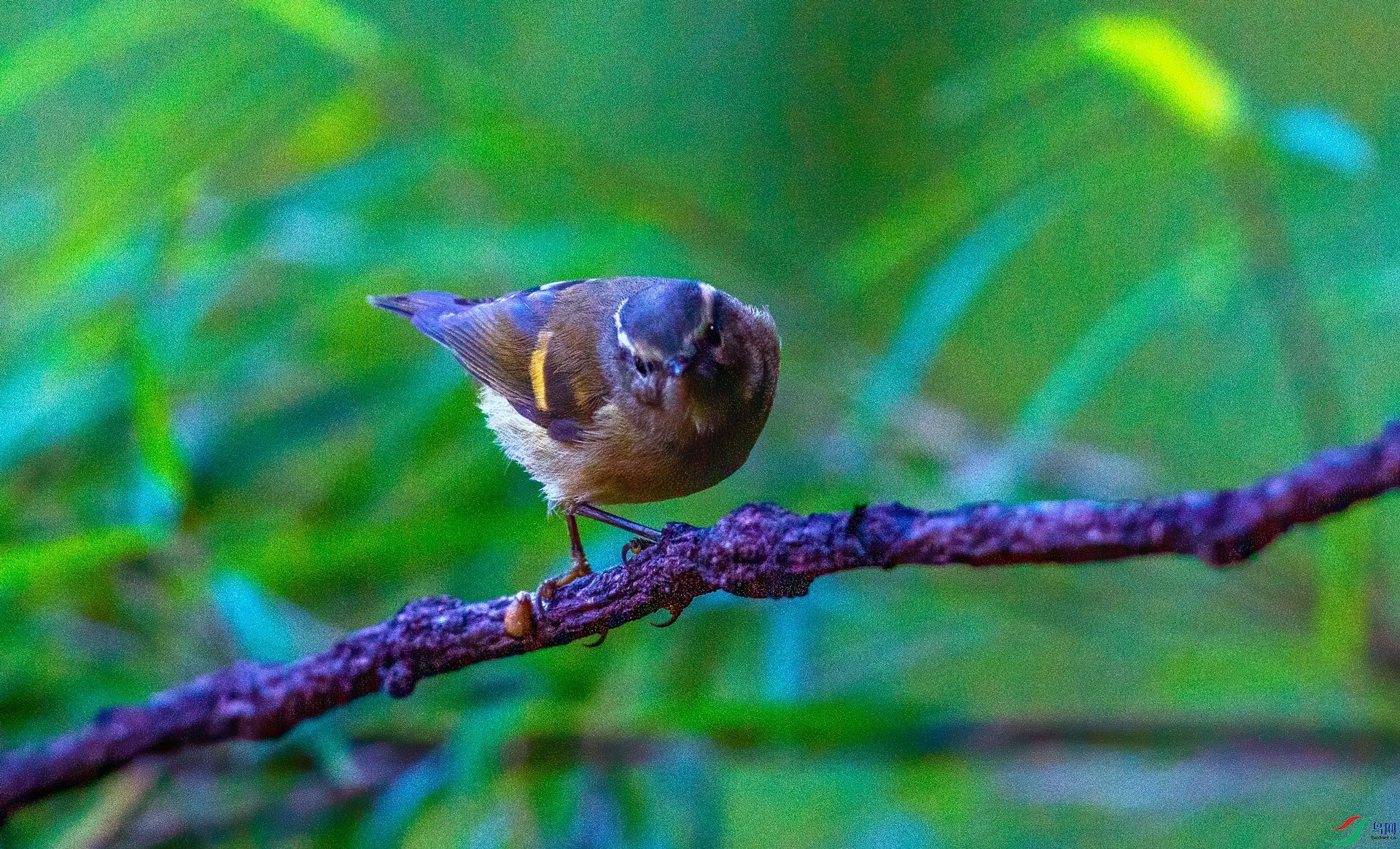 DSC_8136.jpg