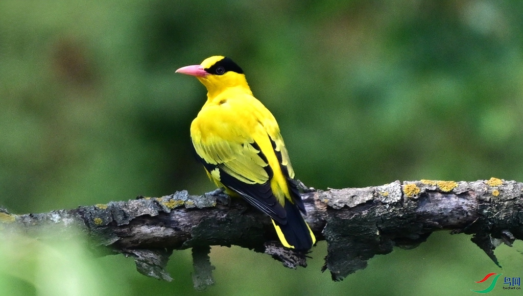 DSC_4707.JPG